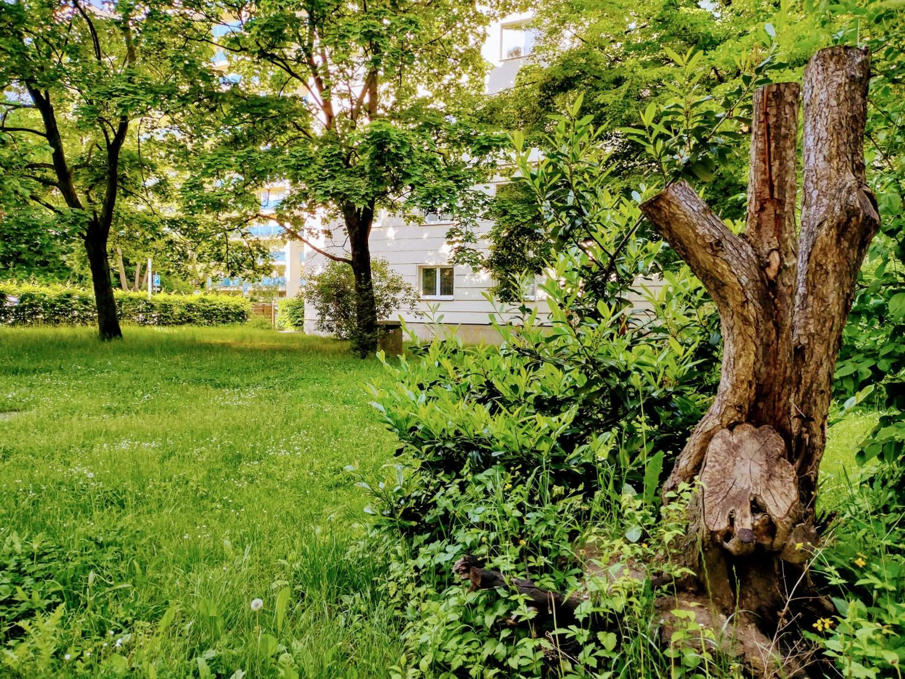 Garden in University Hotel