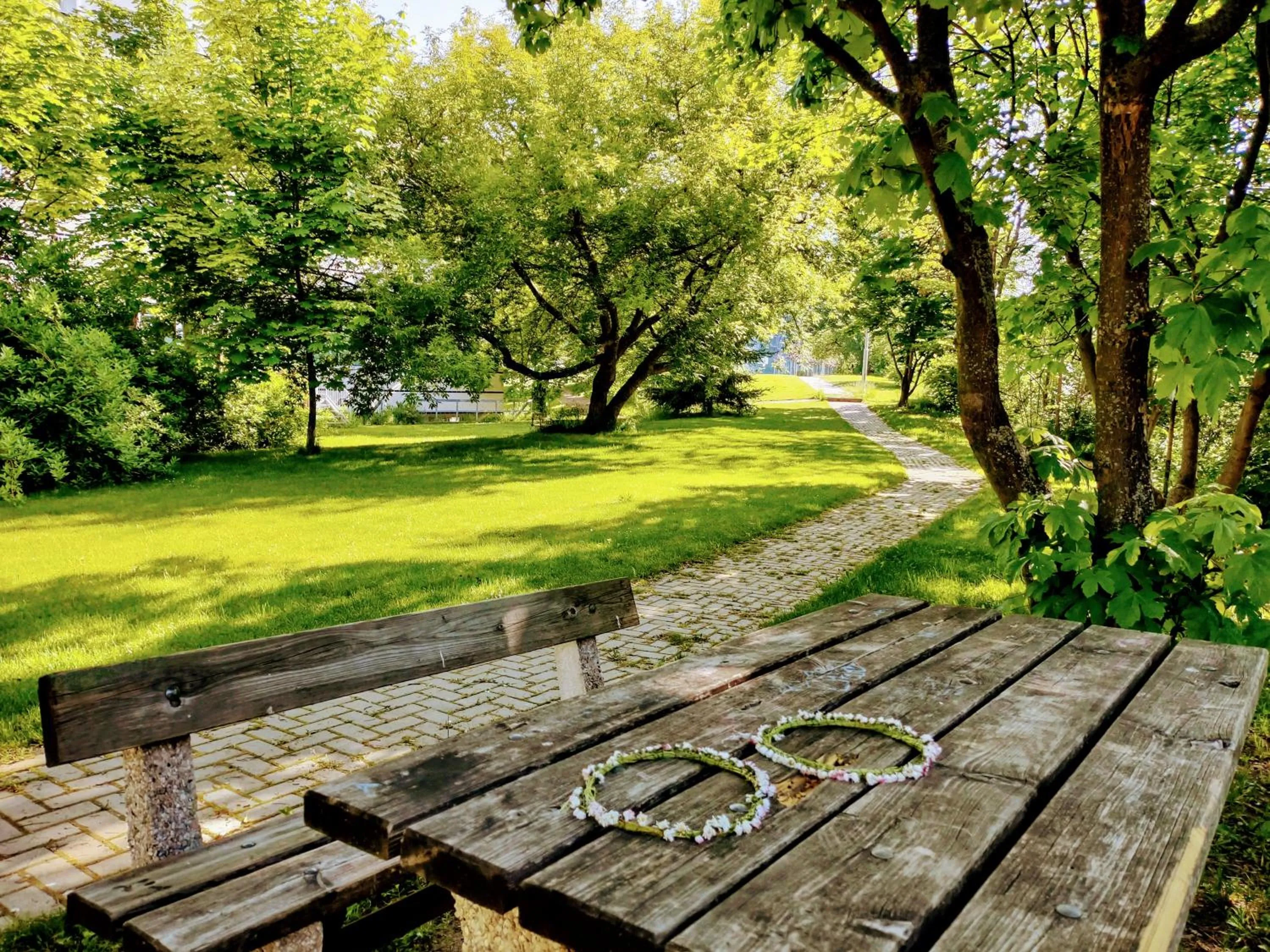 Garden in University Hotel