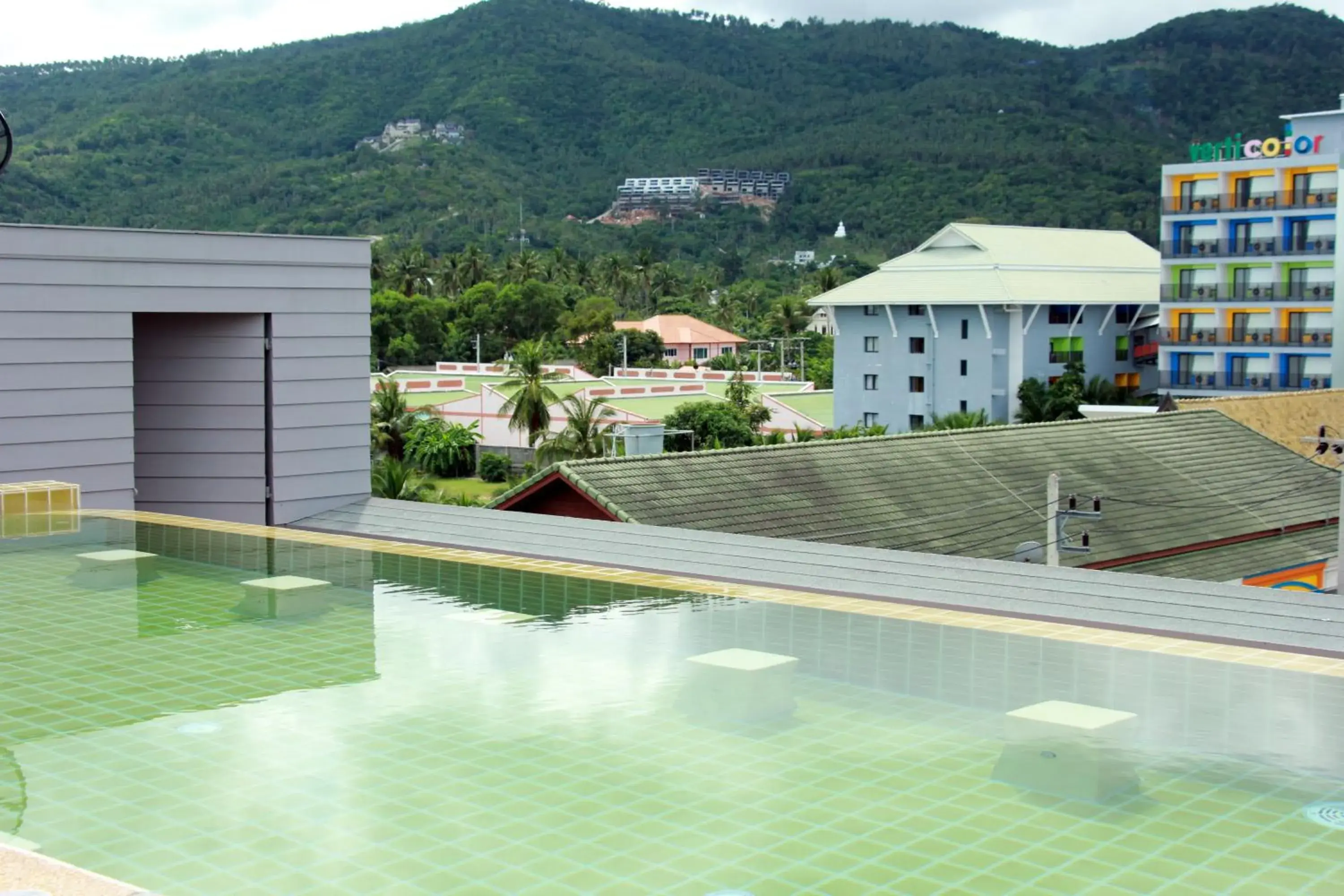 Swimming pool in Cheeky Monkey's Samui Swimming pool in Cheeky Monkey's Samui