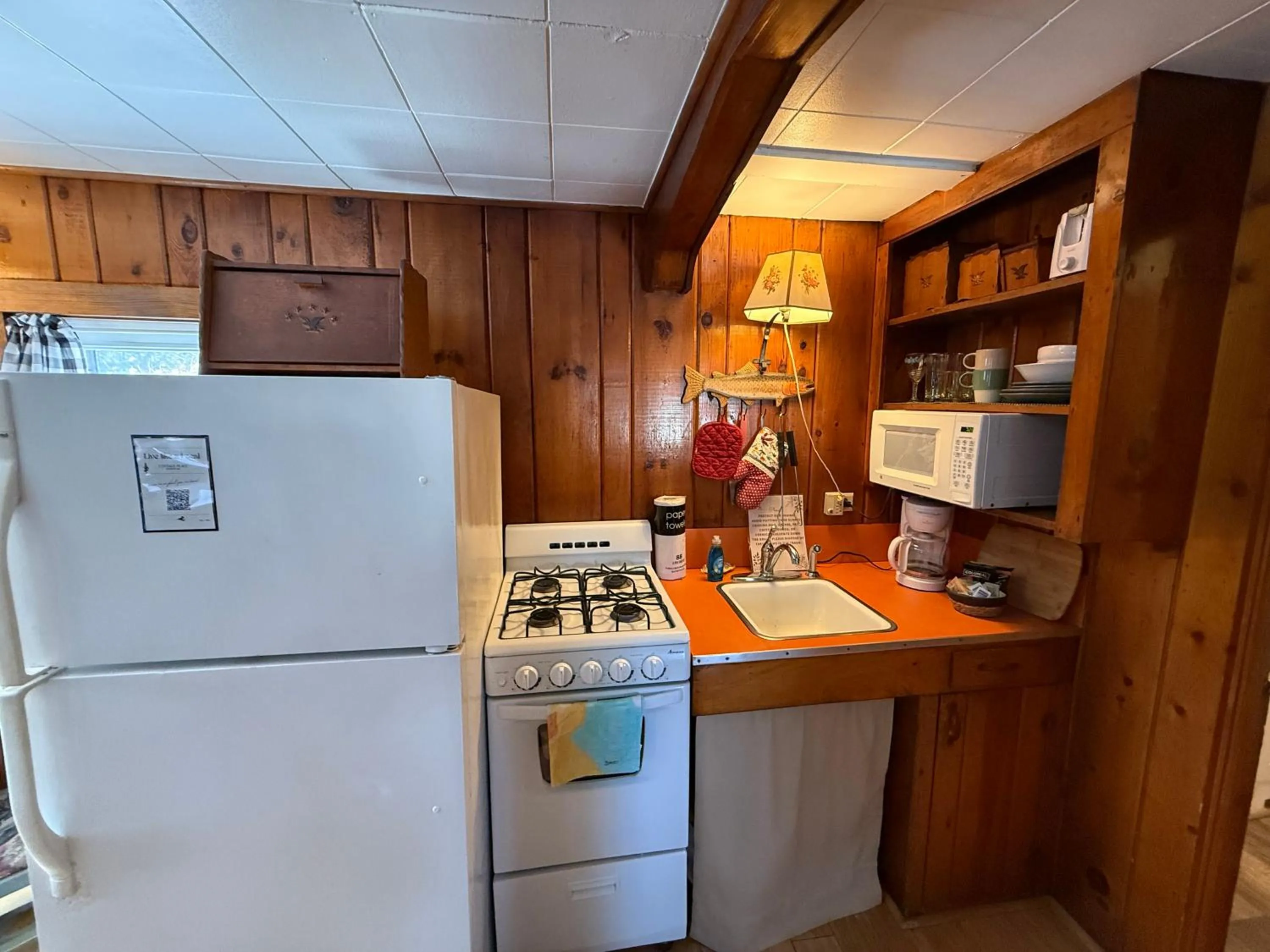 Cottage Place on Squam Lake