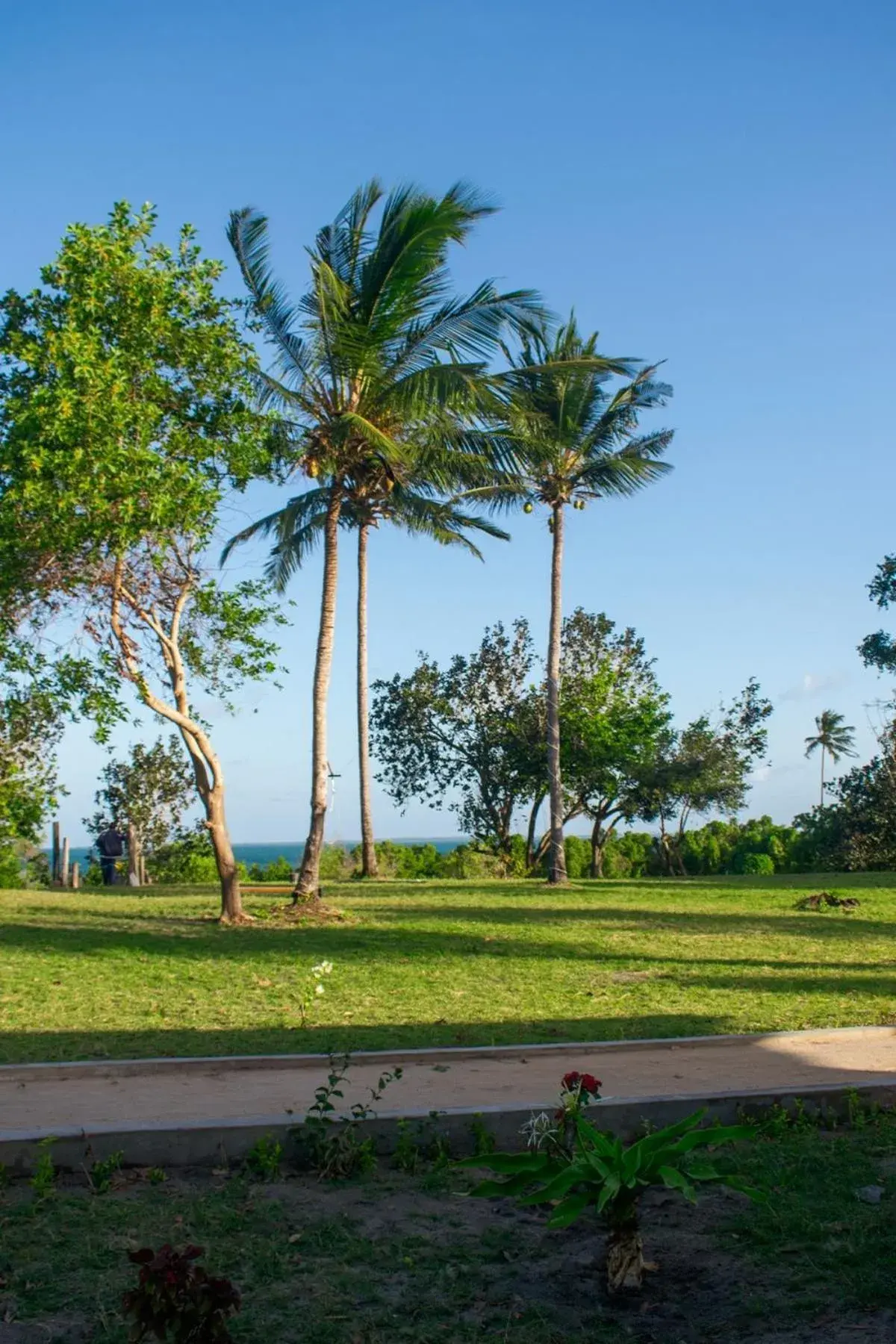 Utende Seacliff Resort Utende Seacliff Resort