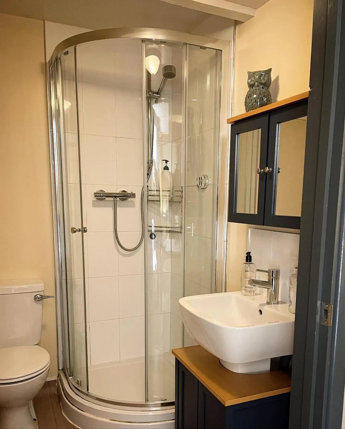 Shower in The Coach and Horses Inn