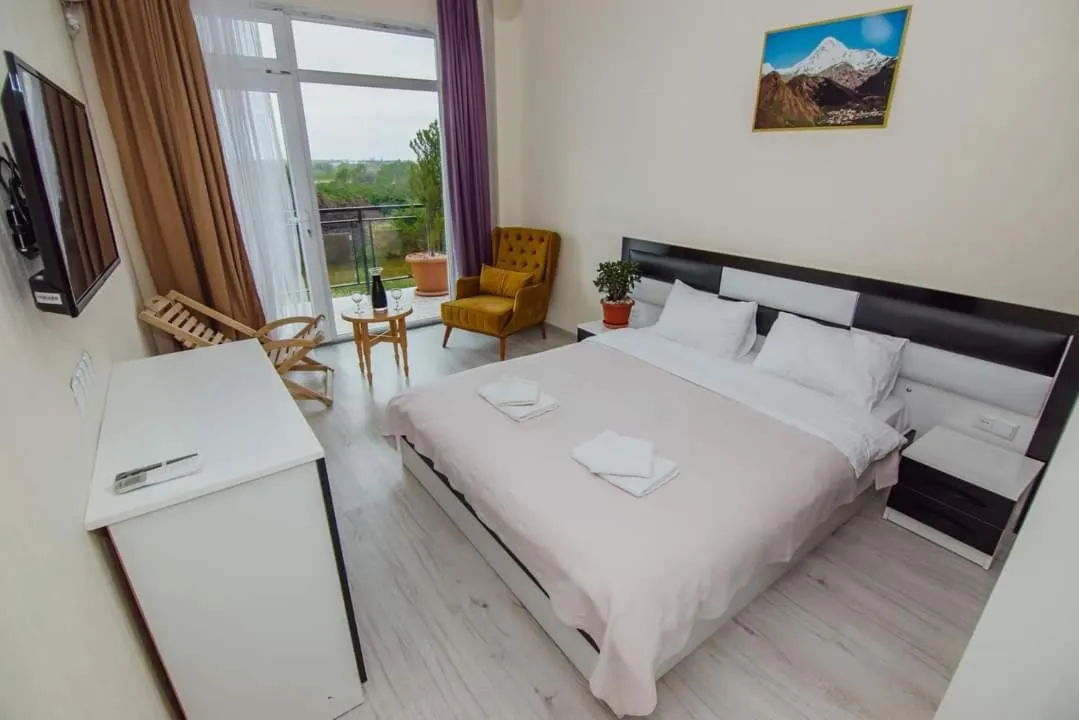 Photo of the whole room, Bed in Mimino Hotel Batumi