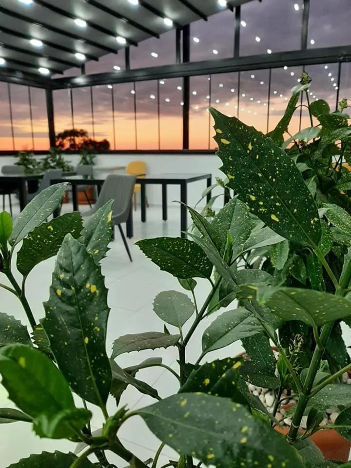 Restaurant/places to eat in Mimino Hotel Batumi