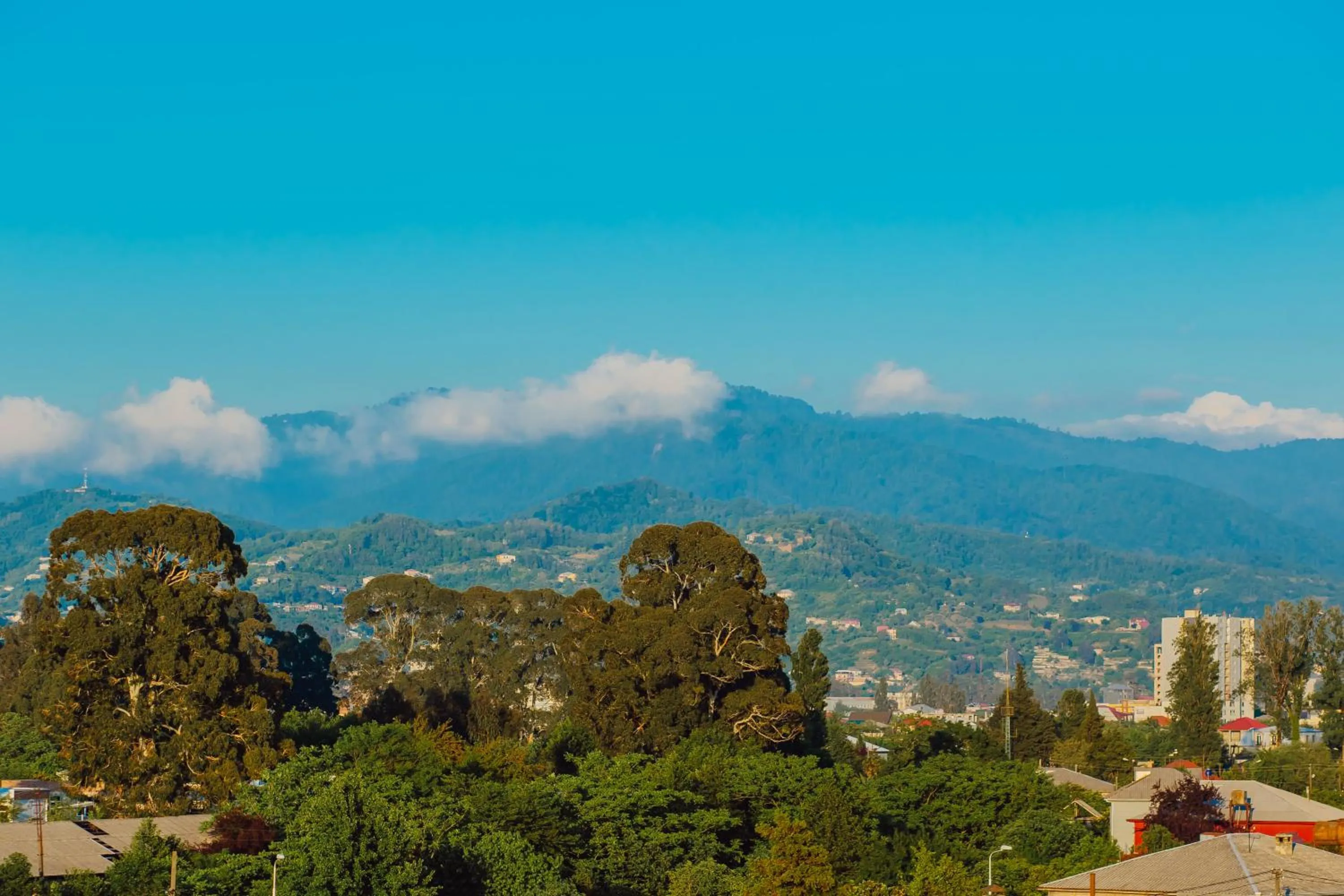 Restaurant/places to eat in Mimino Hotel Batumi