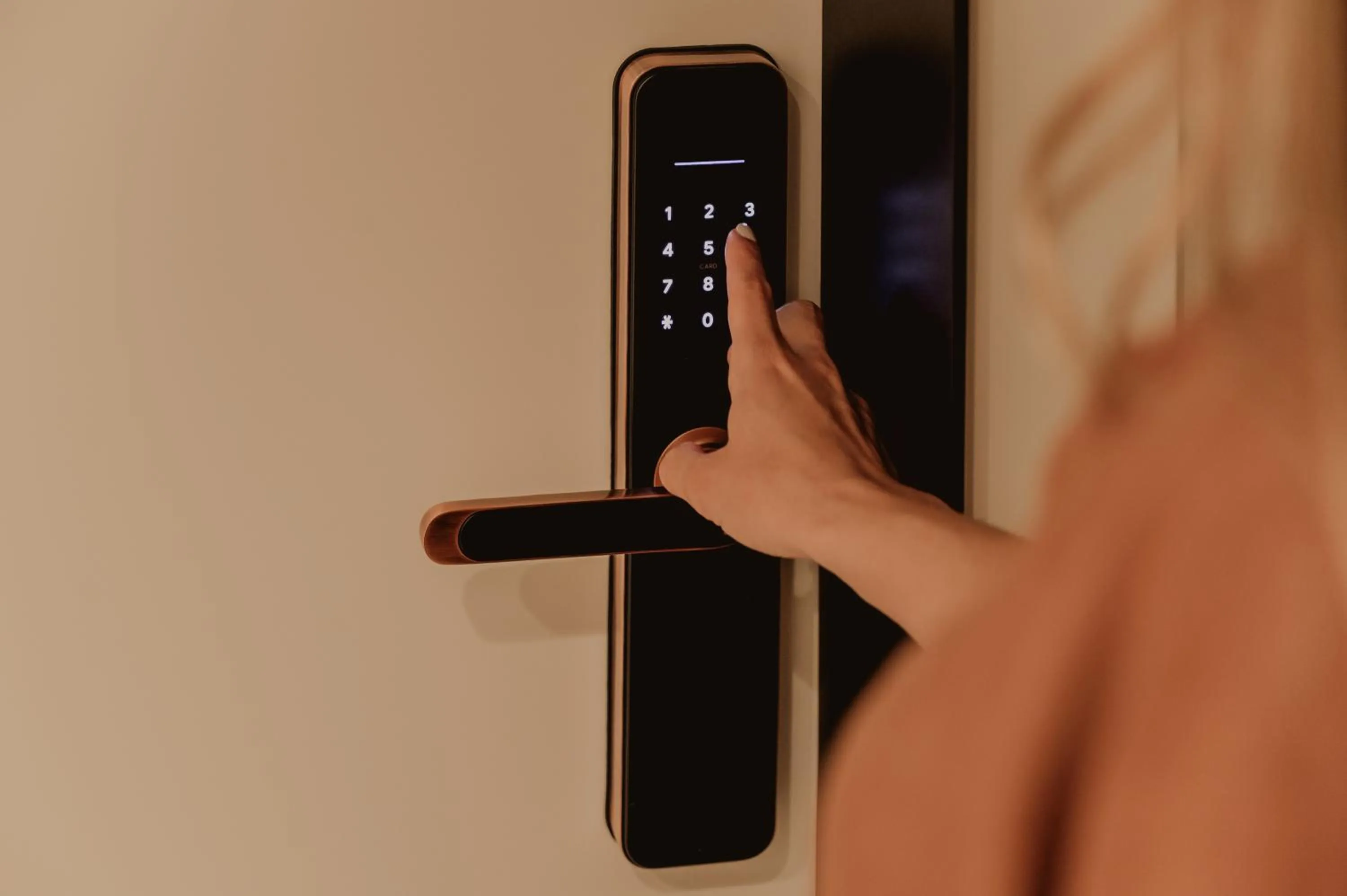 Area and facilities in Pau Suites