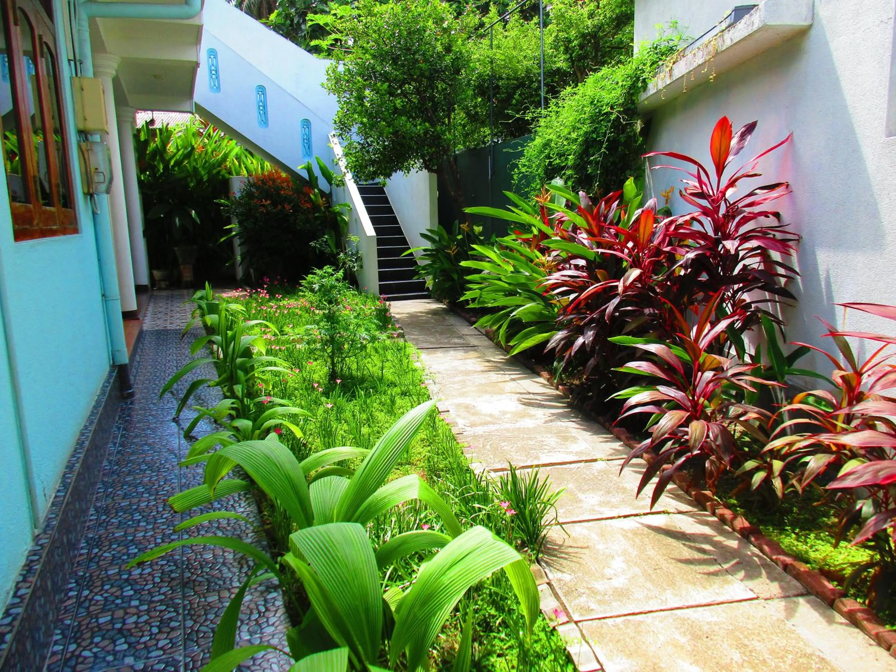 Property building in Tamara Motels