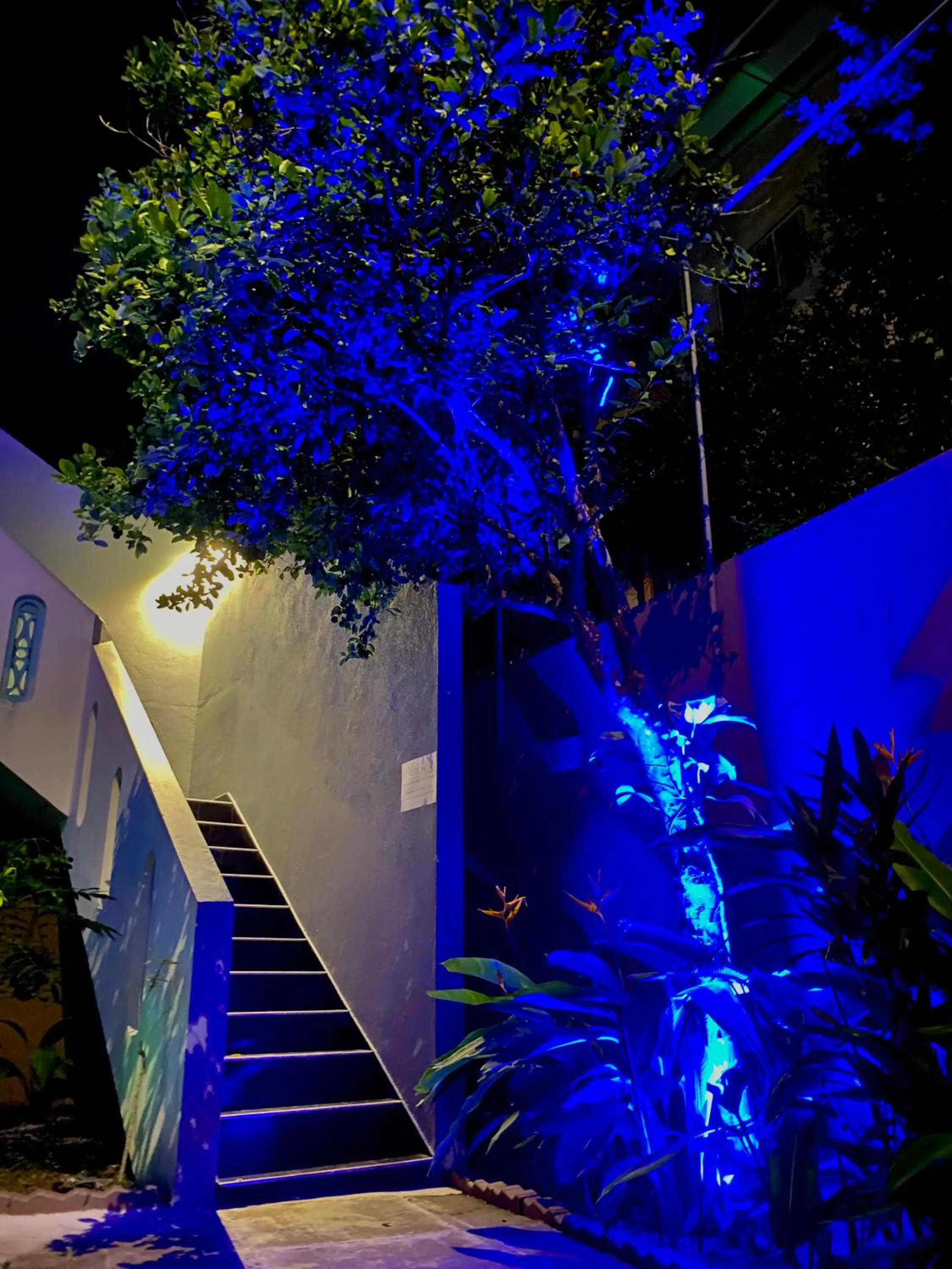 Night in Tamara Motels