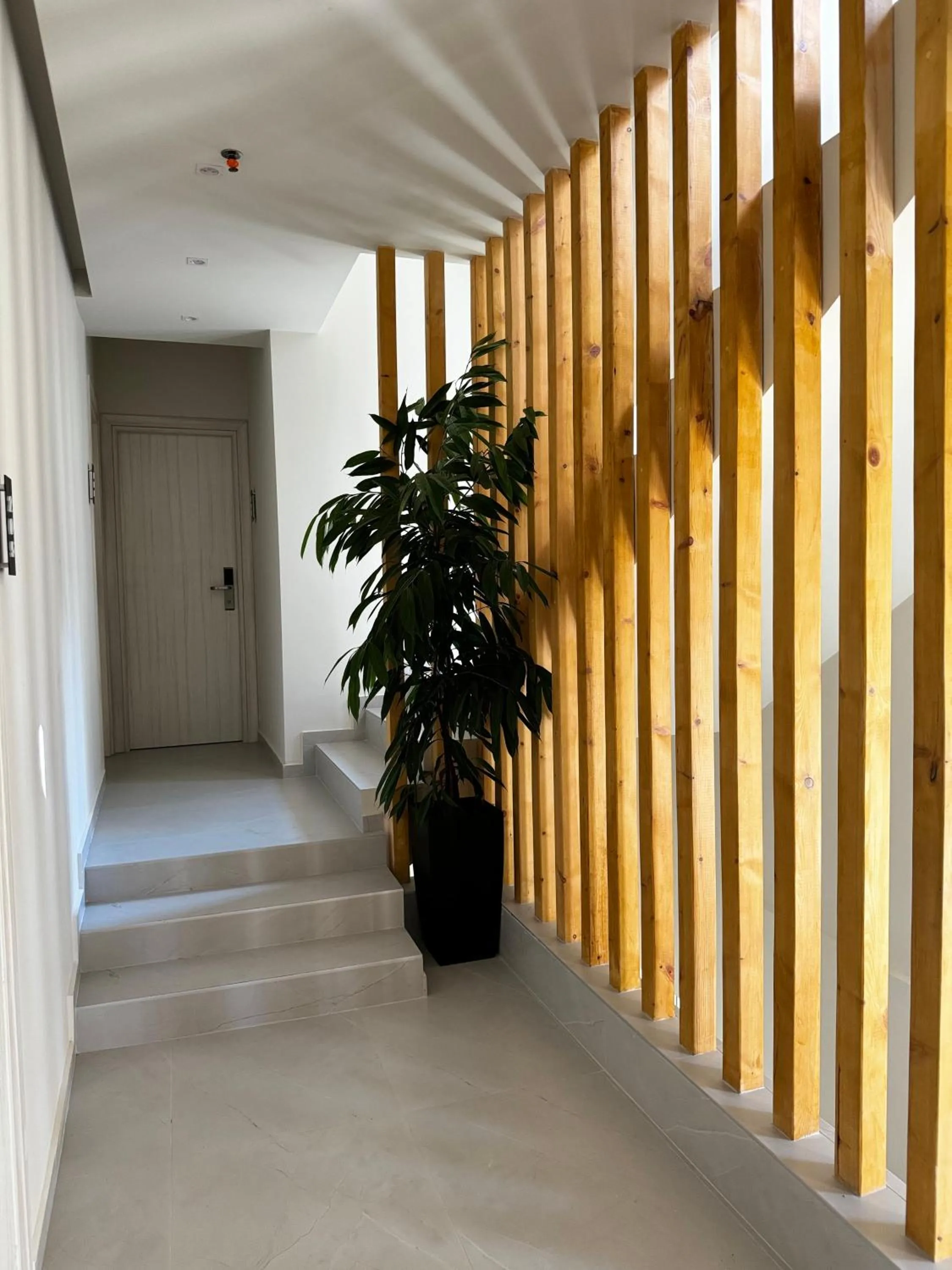 Lobby or reception in Lunar Hotel Modern Boutique