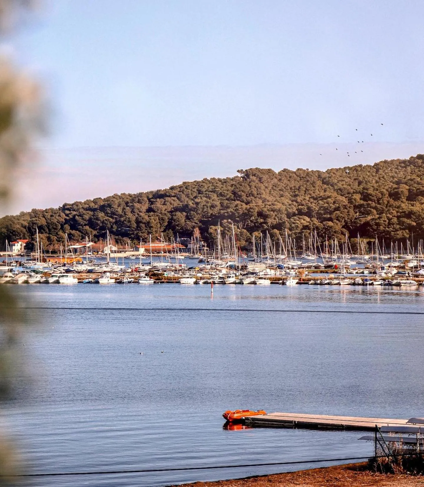View (from property/room) in Rives d'Or Hôtel