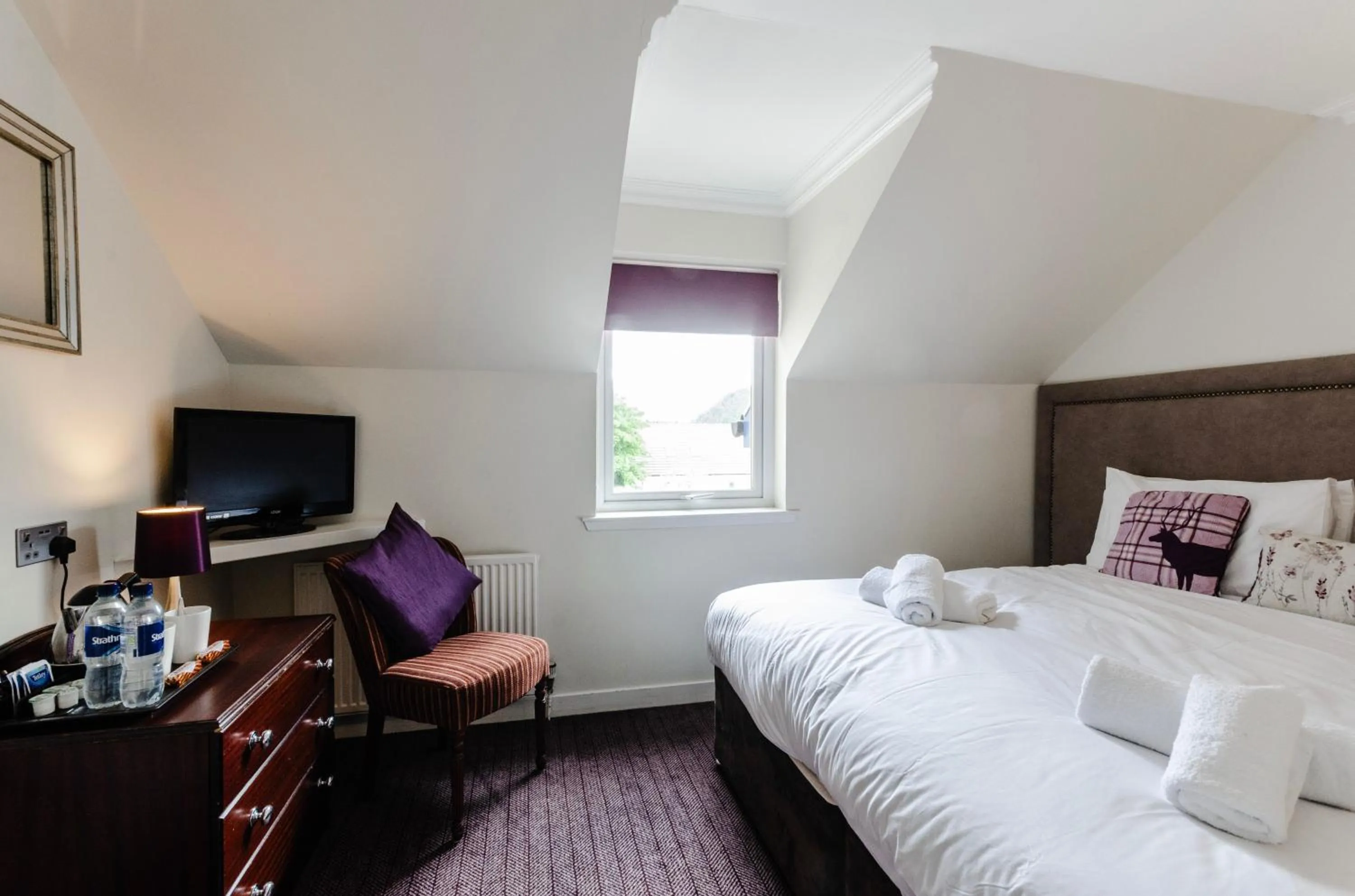 Bed in The Park, Aviemore