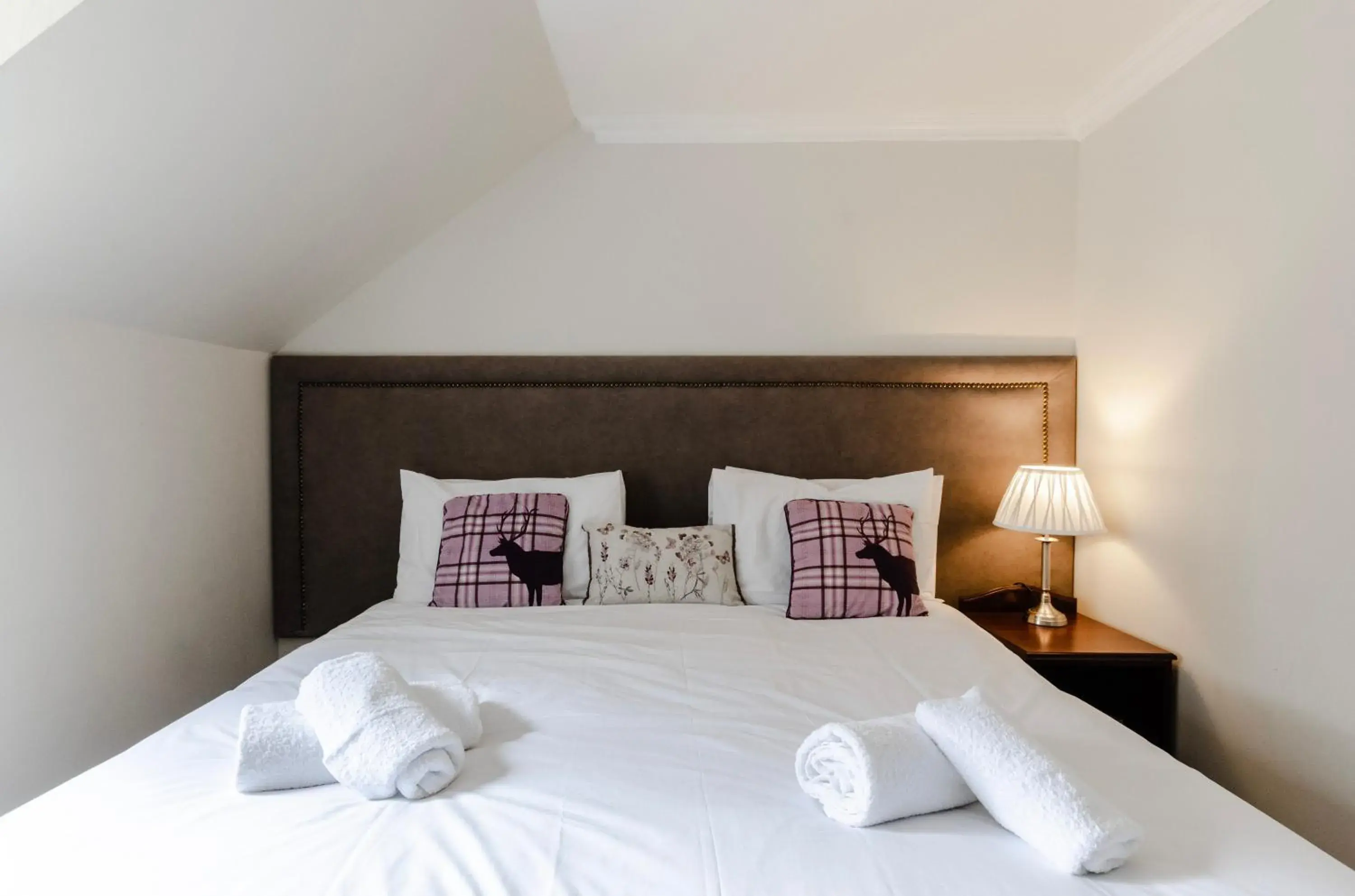 Economy Double or Twin Room in Sweeney Aviemore Two Economy Double or Twin Room in Sweeney Aviemore Two