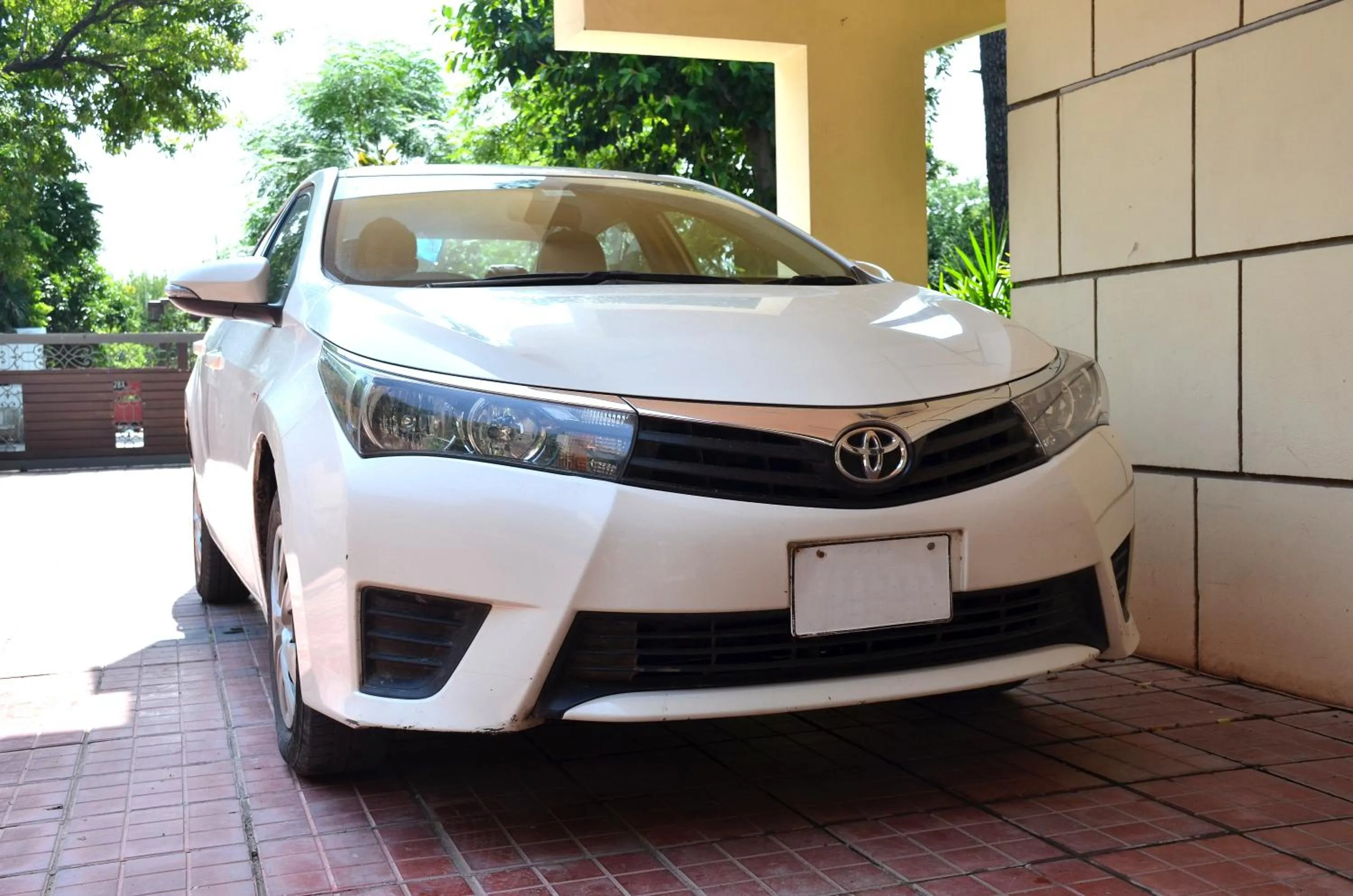 Summer in Gofas Lodge