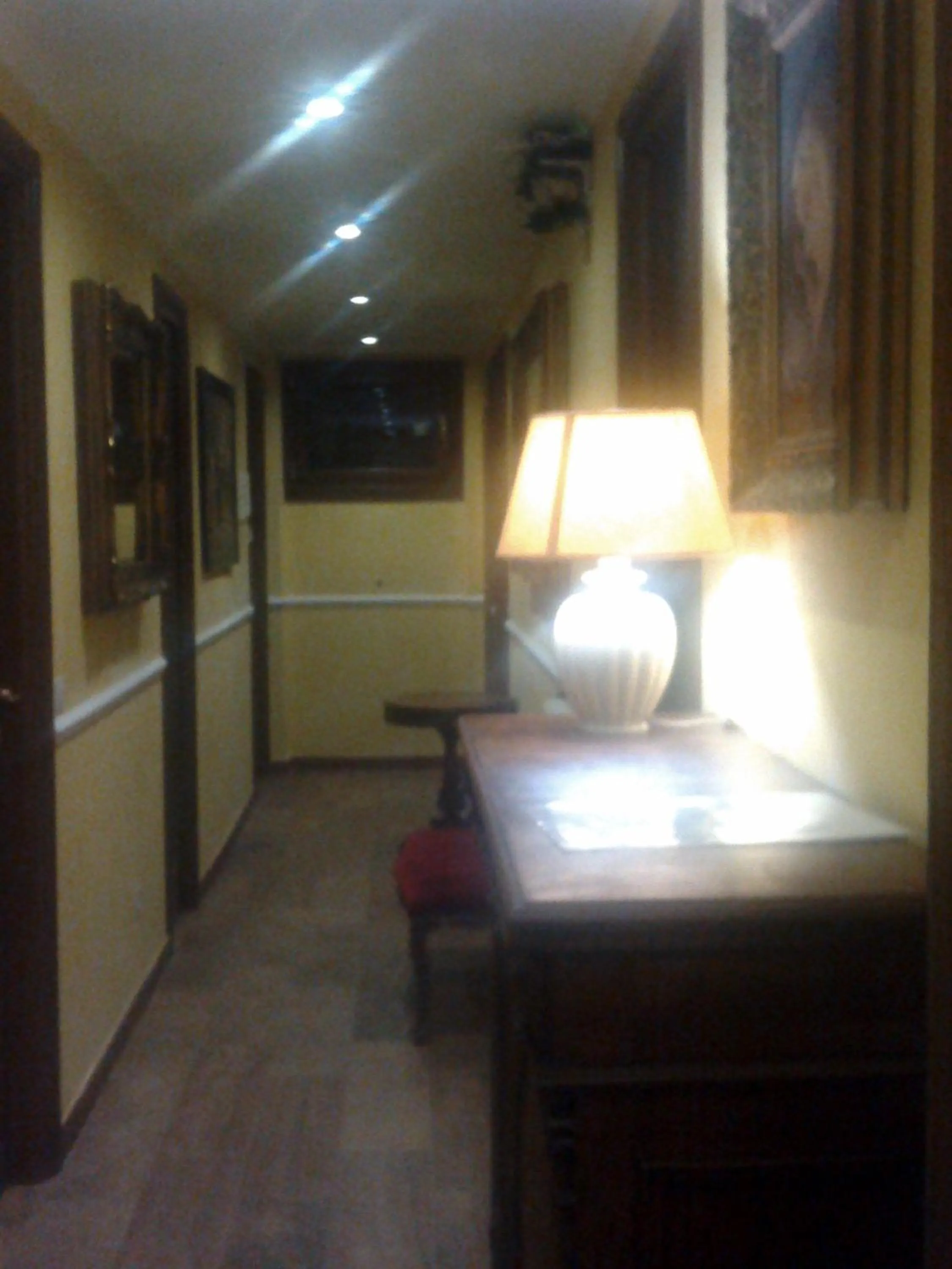 Decorative detail in Pitagora House