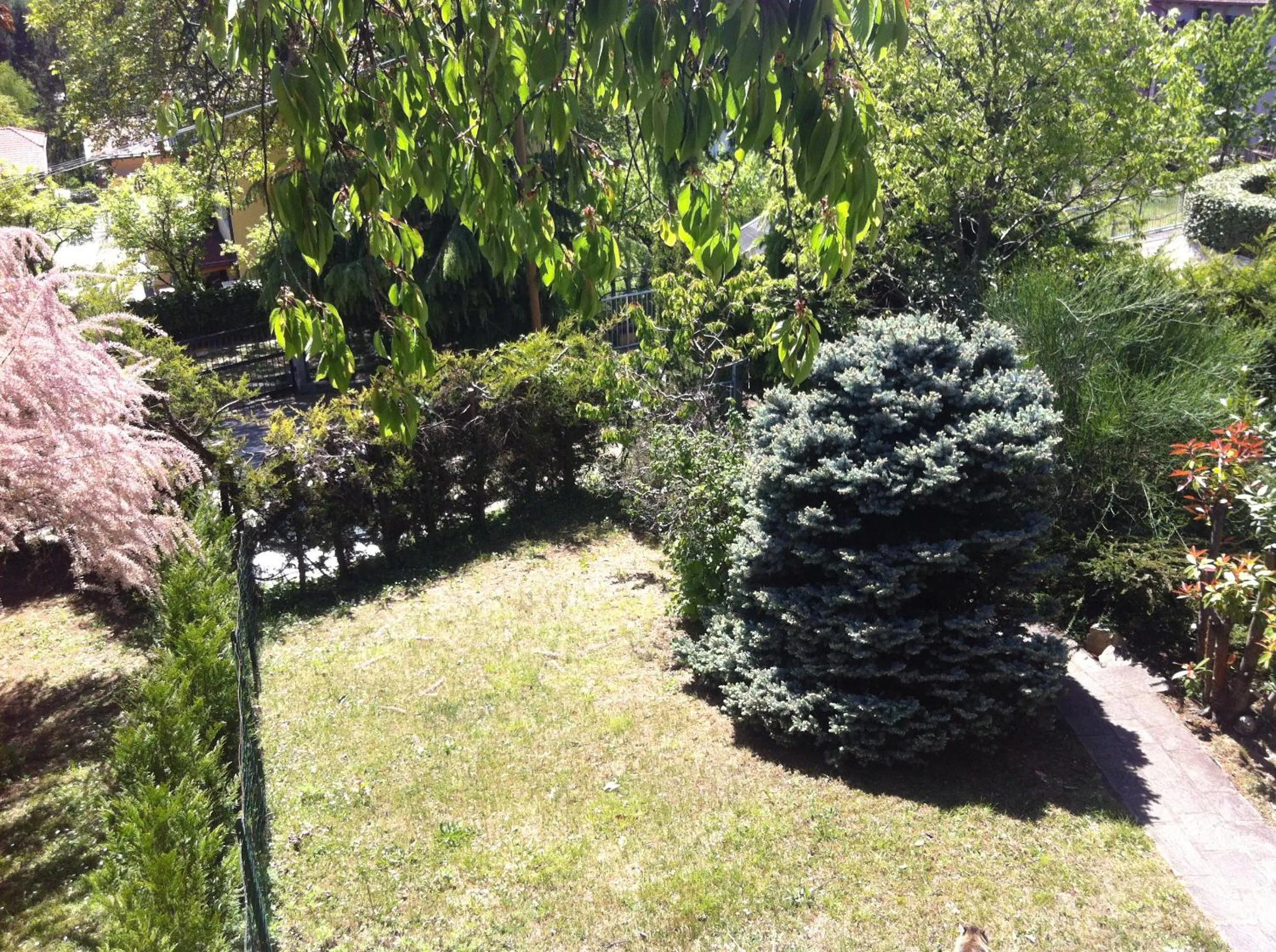 Garden view in B&B Aria d'Argento - Bike Tours