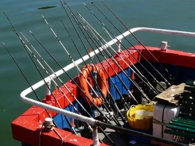 Fishing in Arundel House