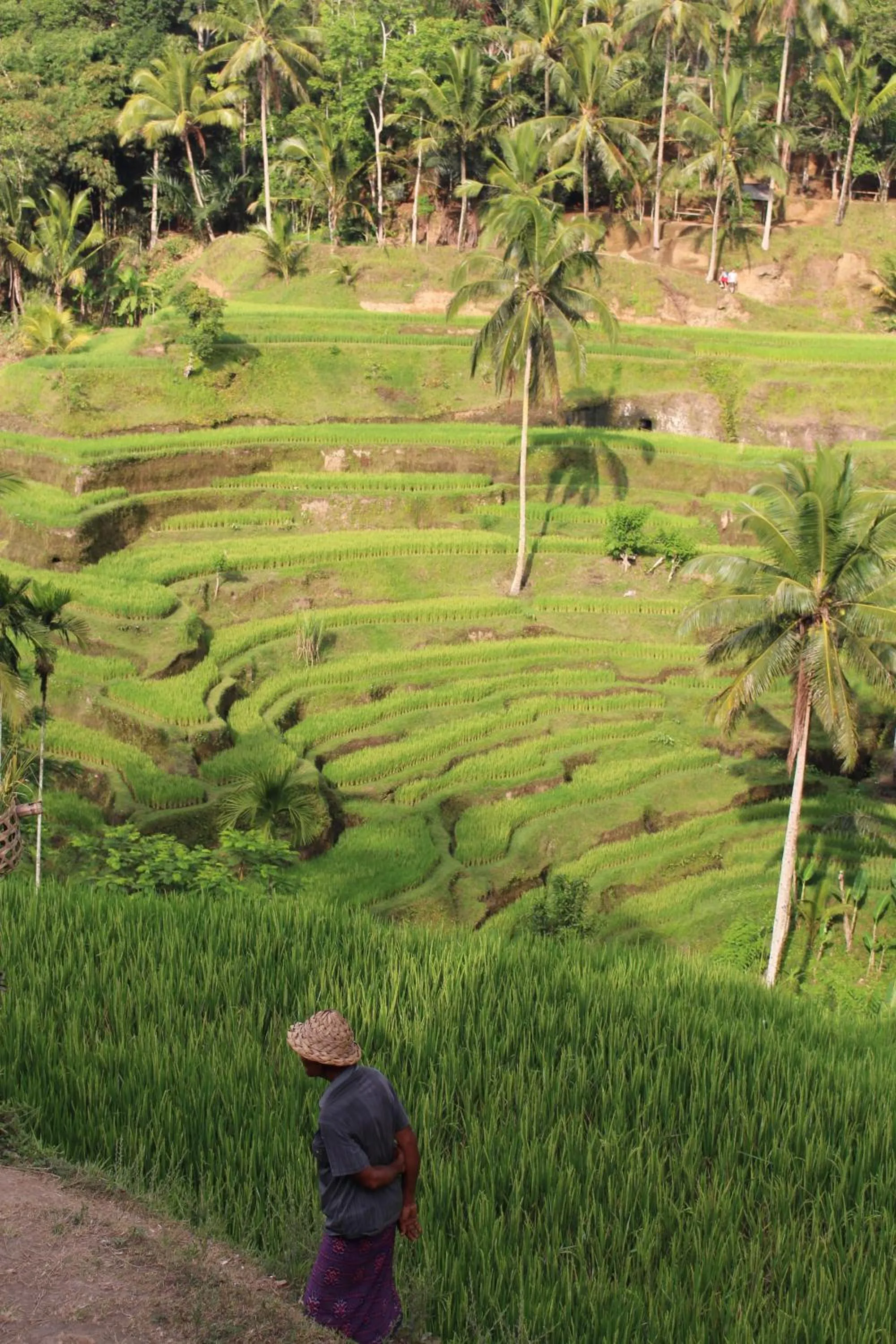 Nearby landmark in Uma Kama Villa