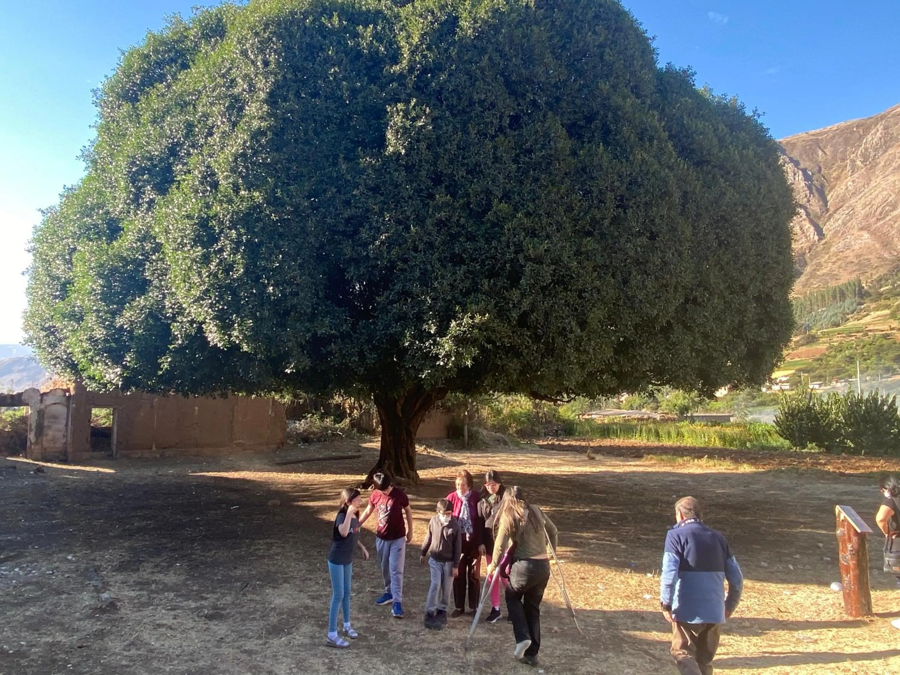 Natural landscape in La Casa de Zarela