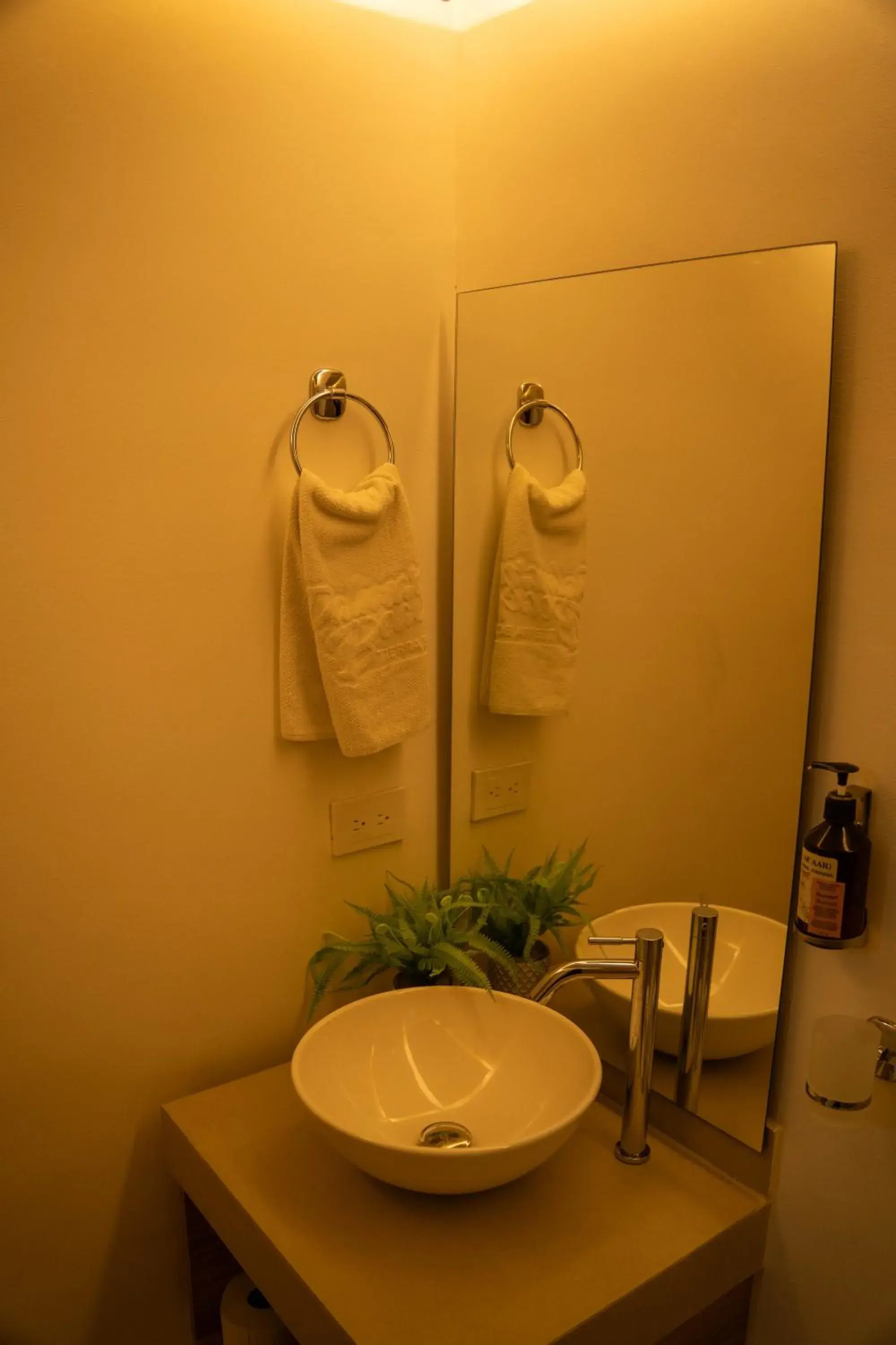 Double Room in Palmarito Beach Hotel Double Room in Palmarito Beach Hotel