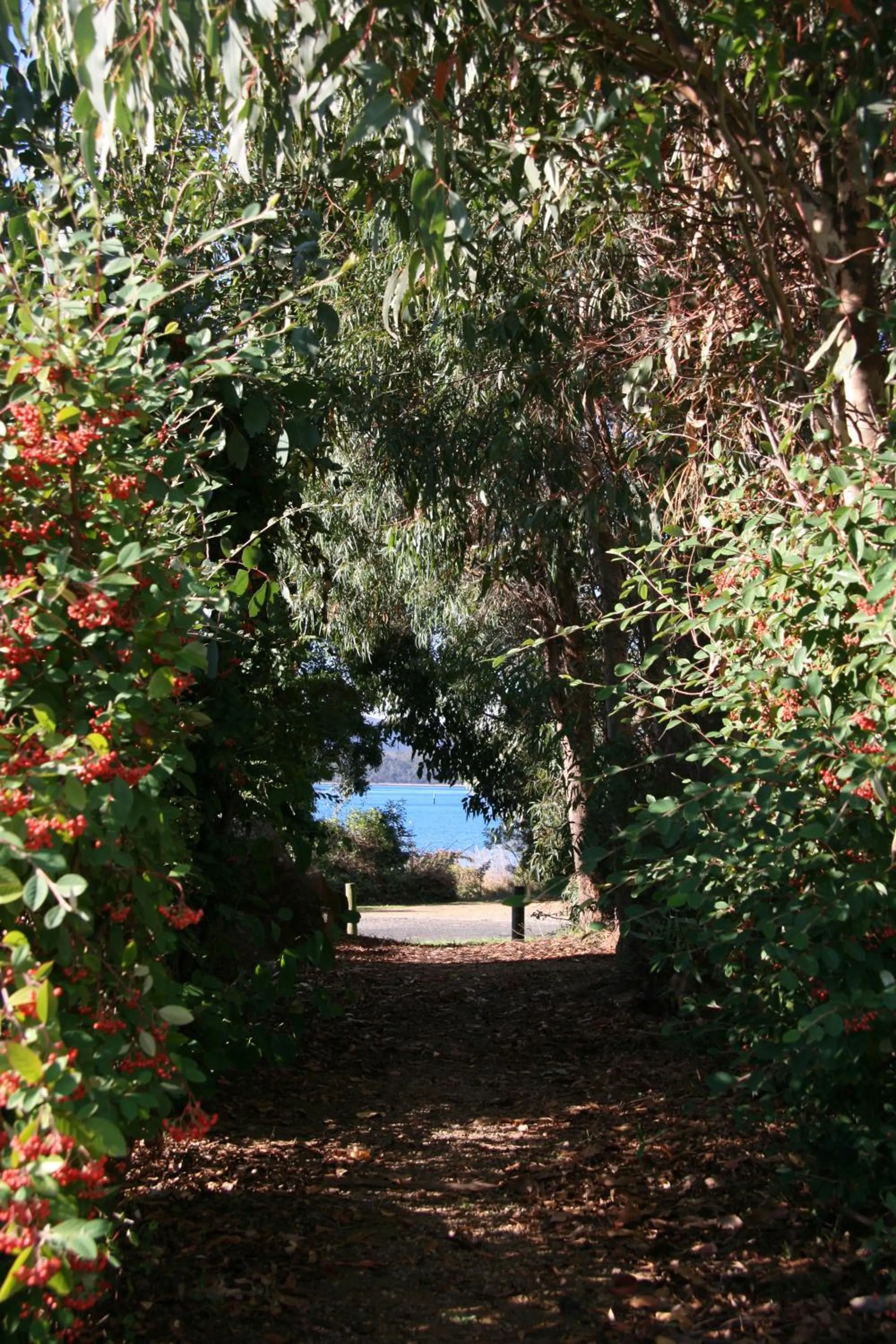 Garden in Beauty Point Tourist Park