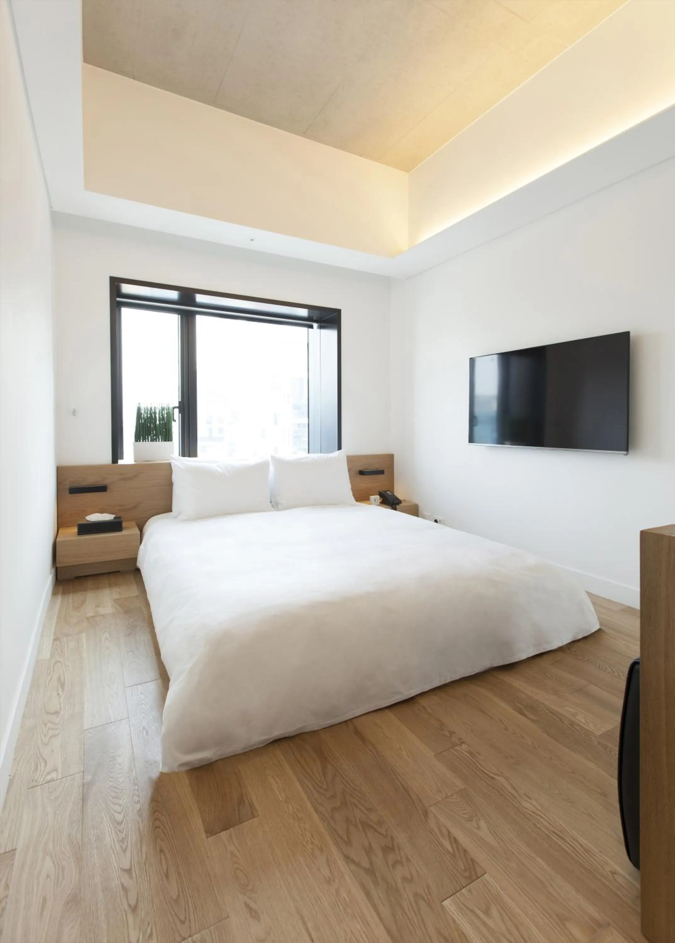 Photo of the whole room, Bed in StayB Hotel Myeongdong