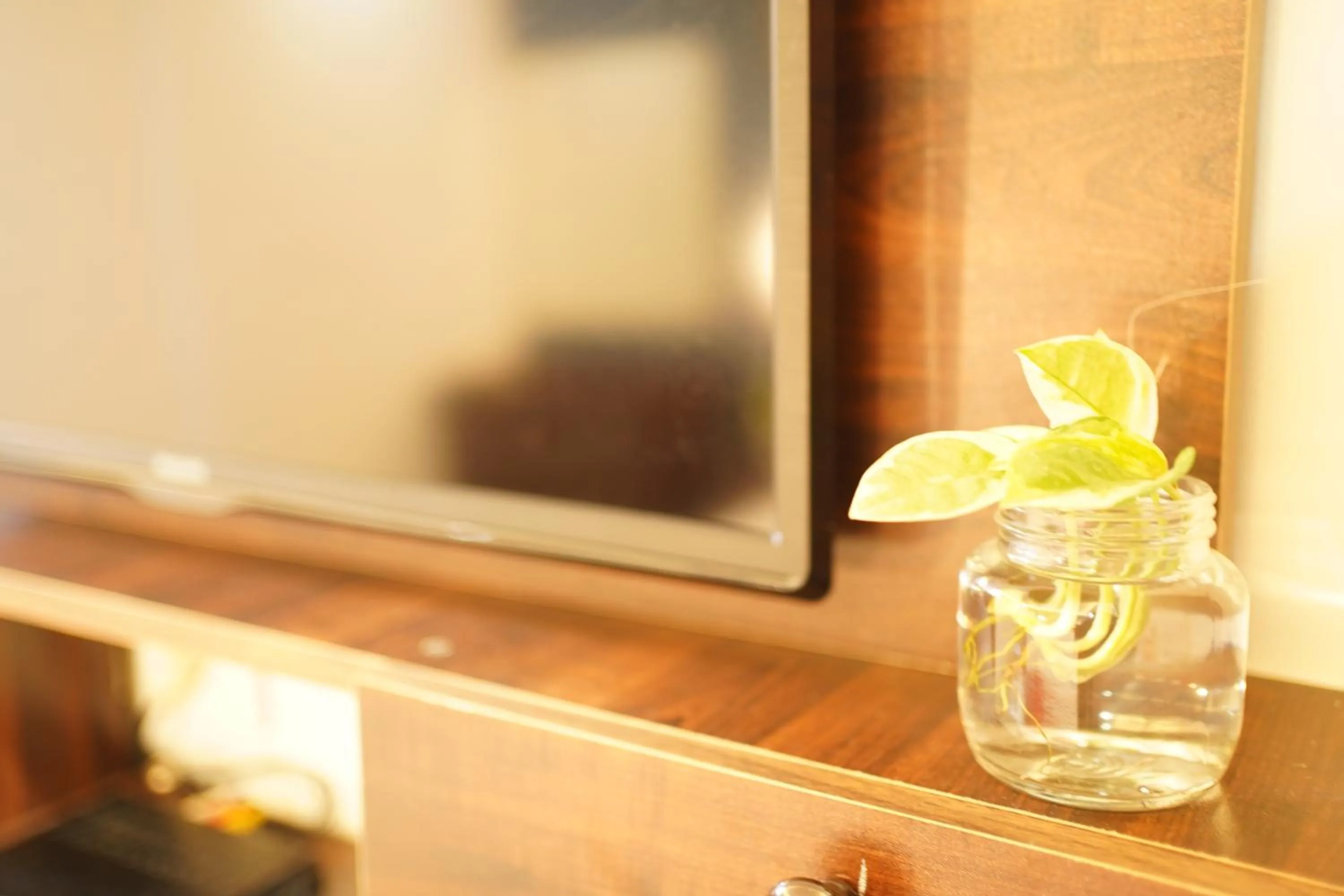 TV and multimedia in North Centre