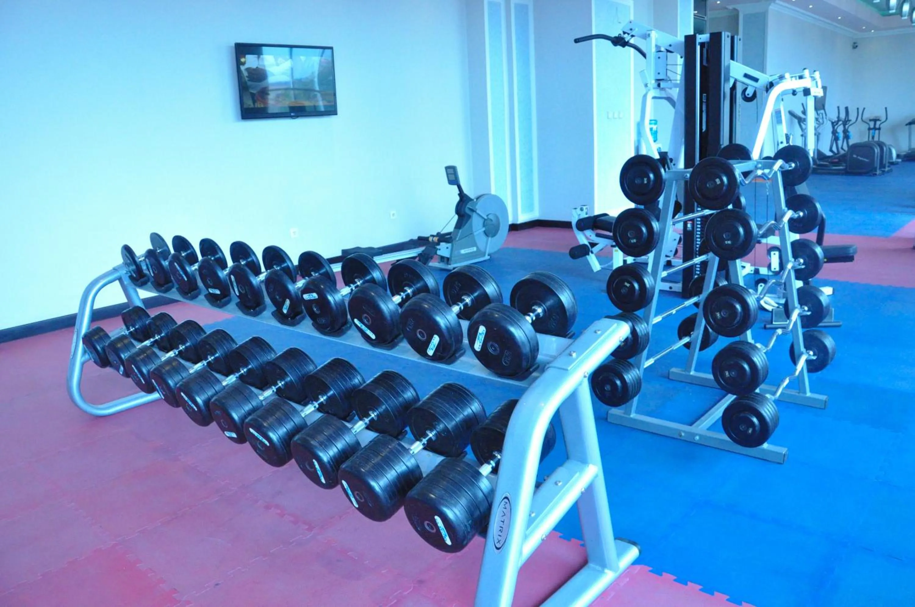 Fitness centre/facilities in Elilly International Hotel