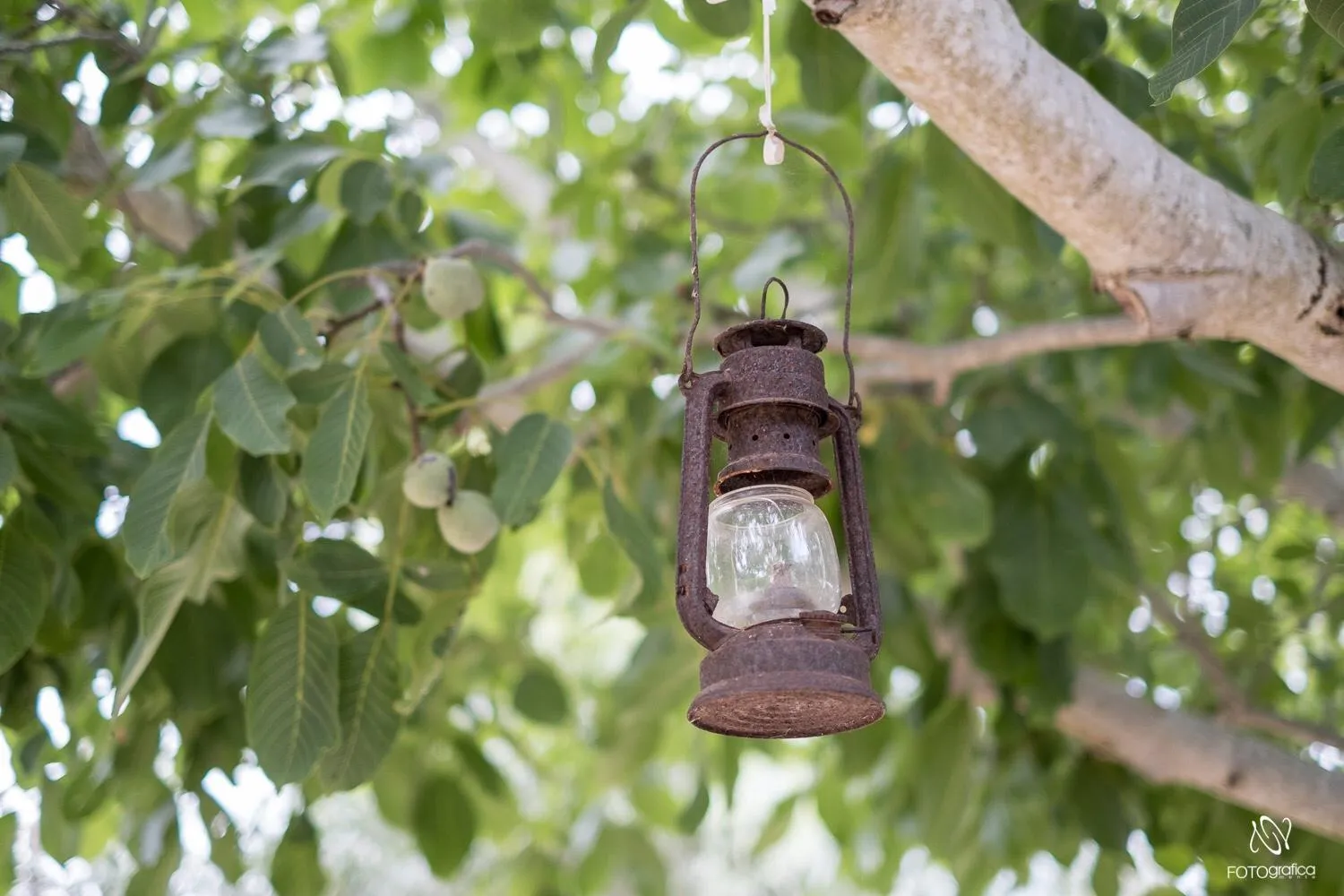 Garden in B&B Tenuta la Cornula