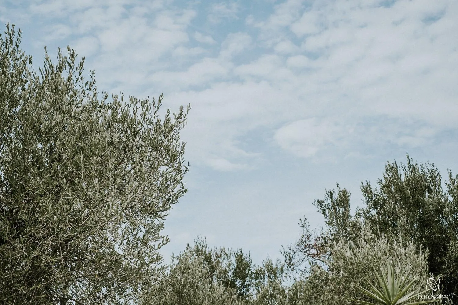 Natural landscape in B&B Tenuta la Cornula