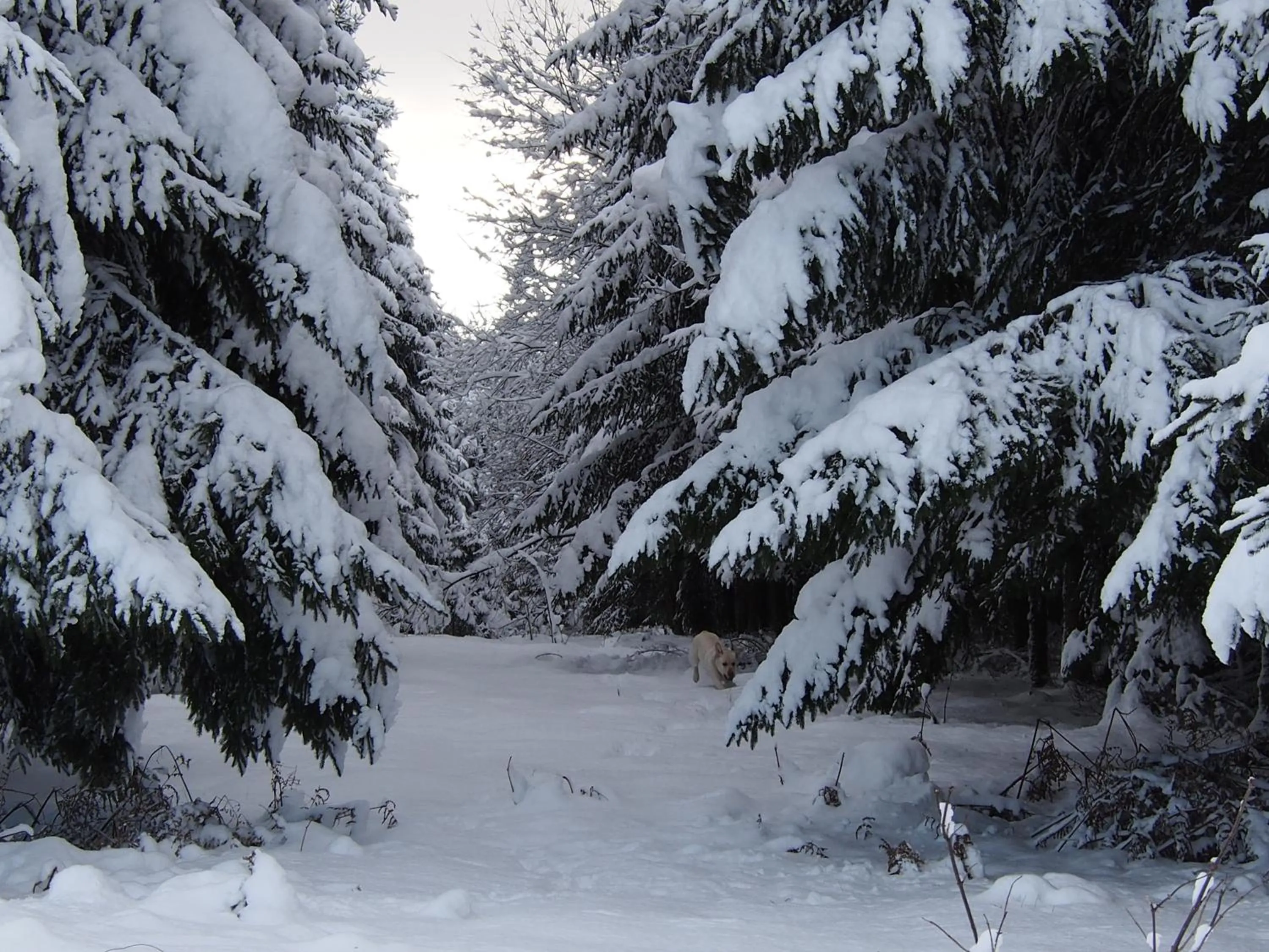 Seasons in B&B La Chabetaine