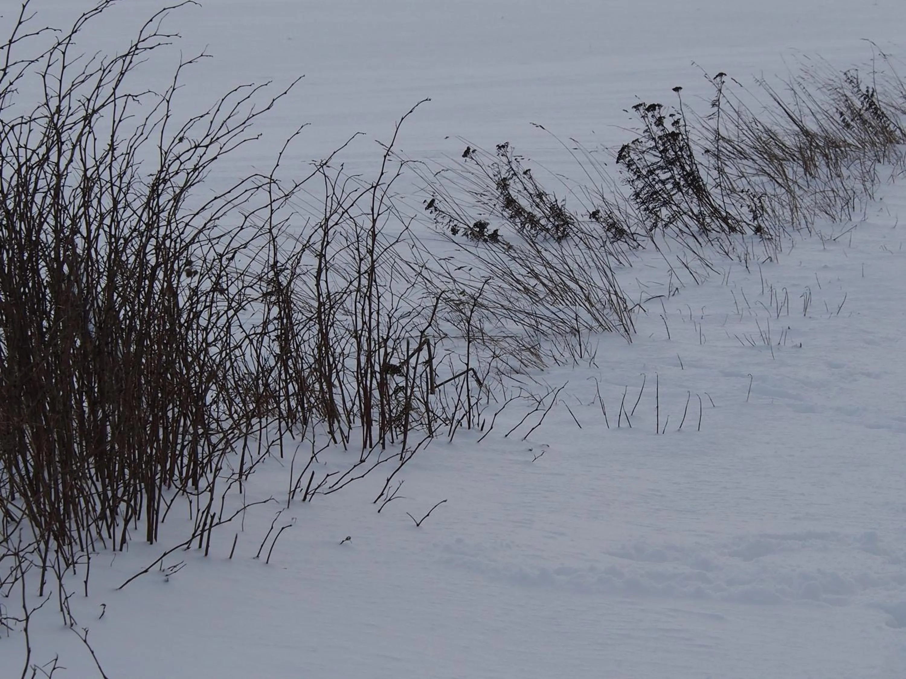 Winter in B&B La Chabetaine