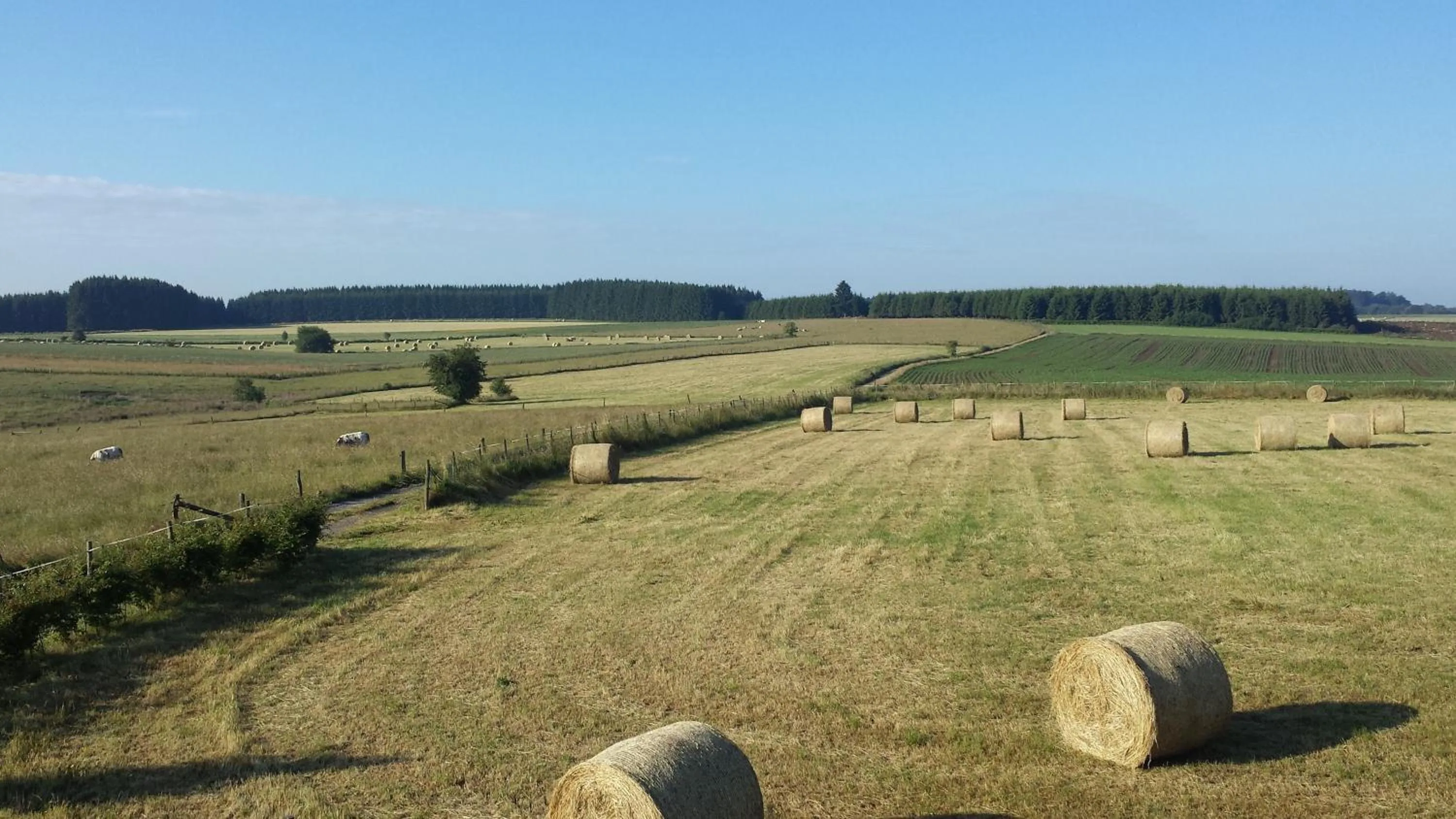 View (from property/room) in B&B La Chabetaine