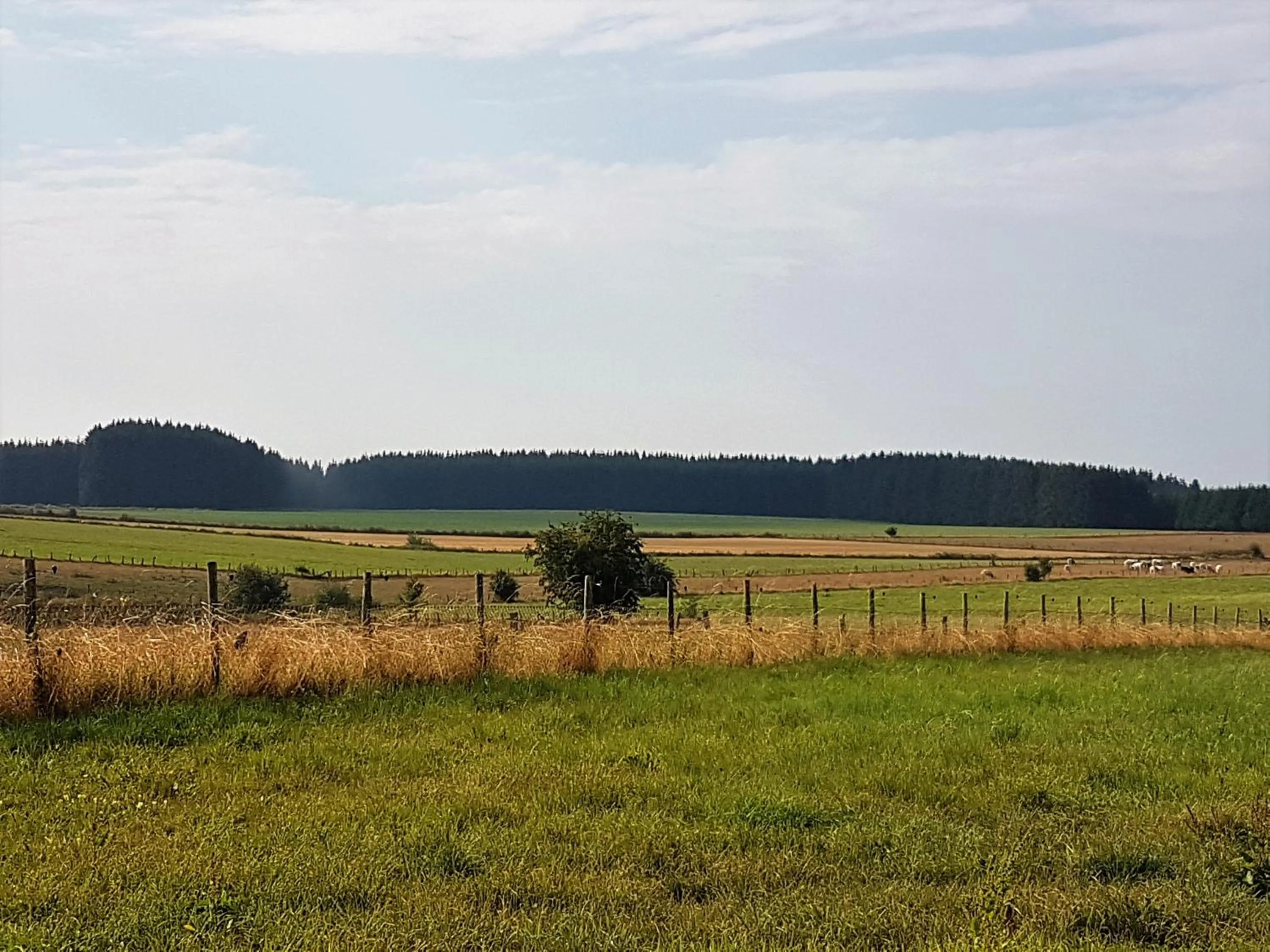 Summer in B&B La Chabetaine