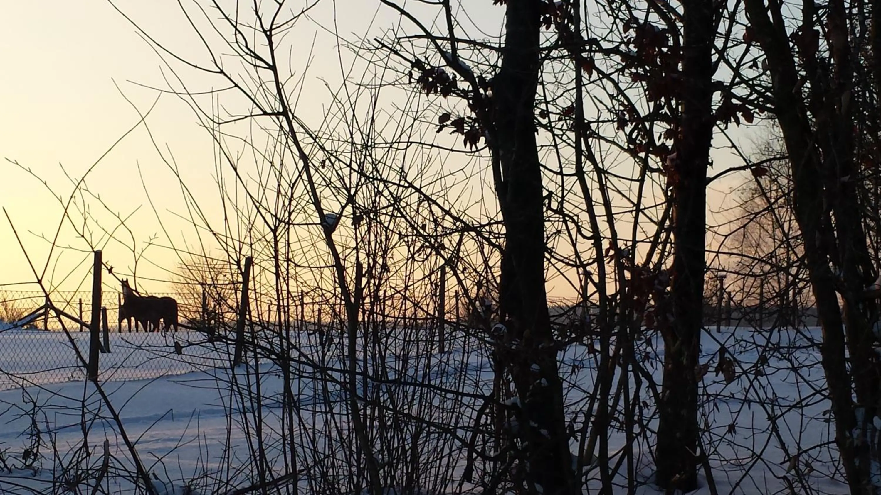 Winter in B&B La Chabetaine