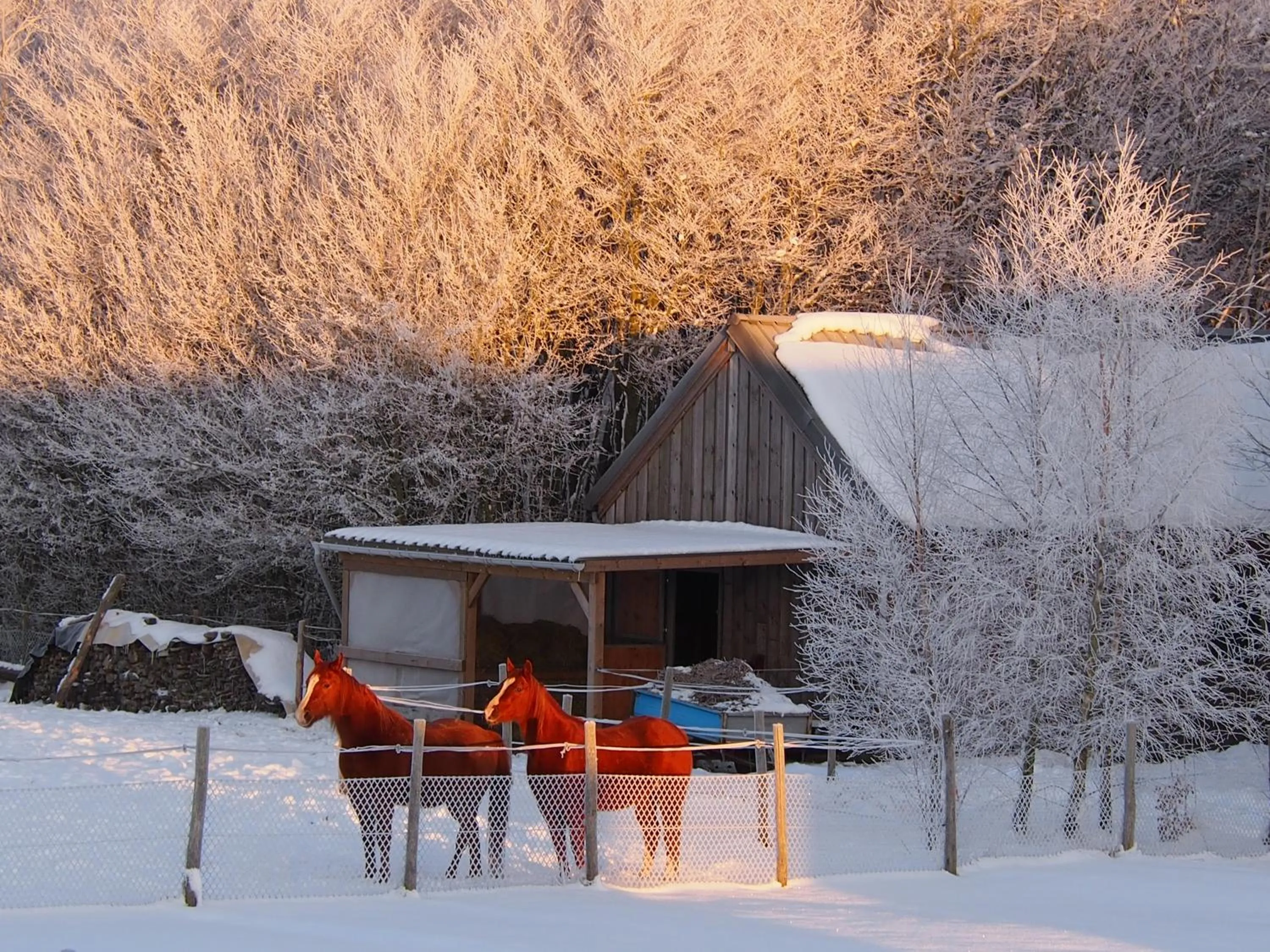 Other in B&B La Chabetaine