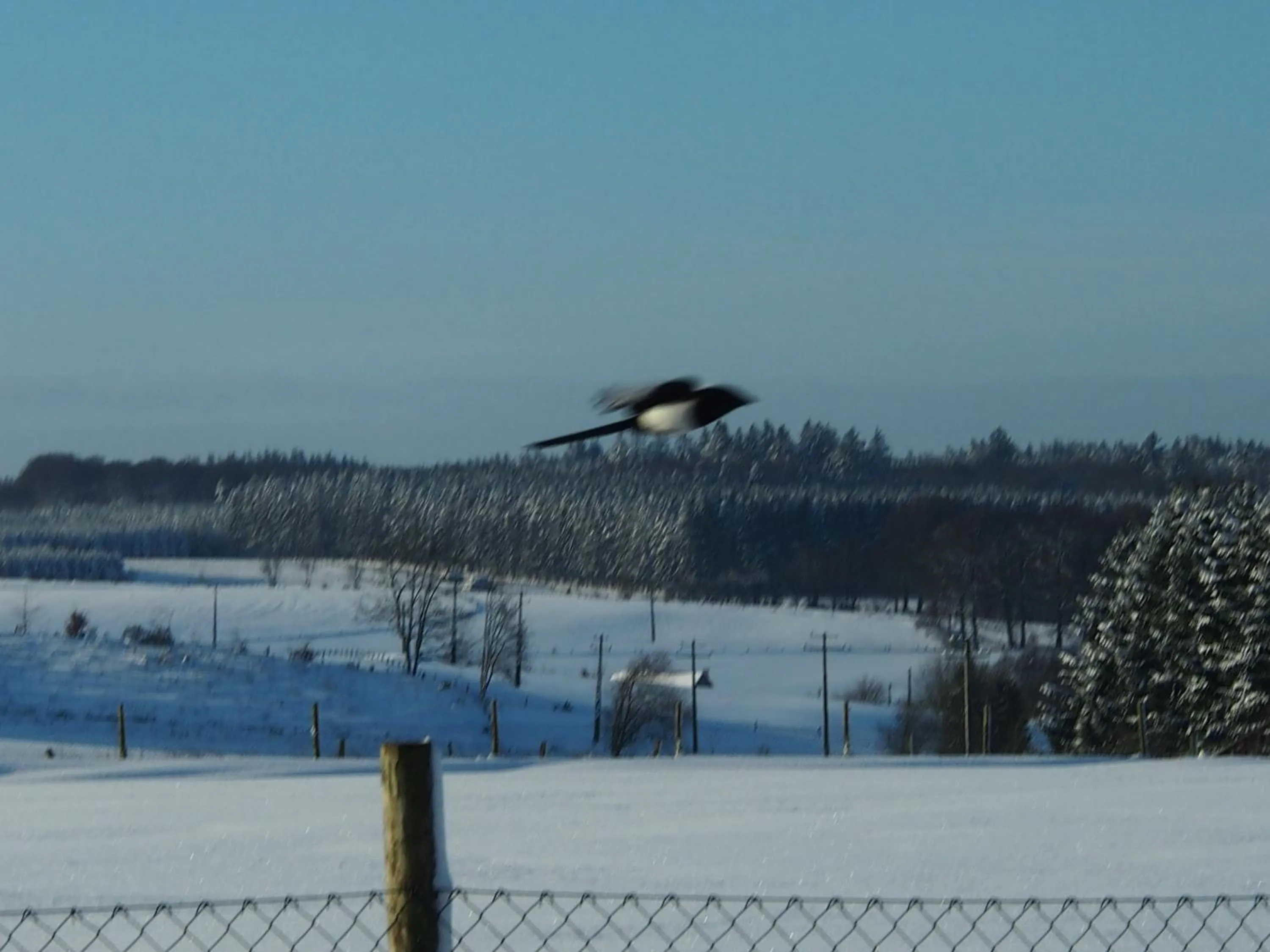 Other in B&B La Chabetaine