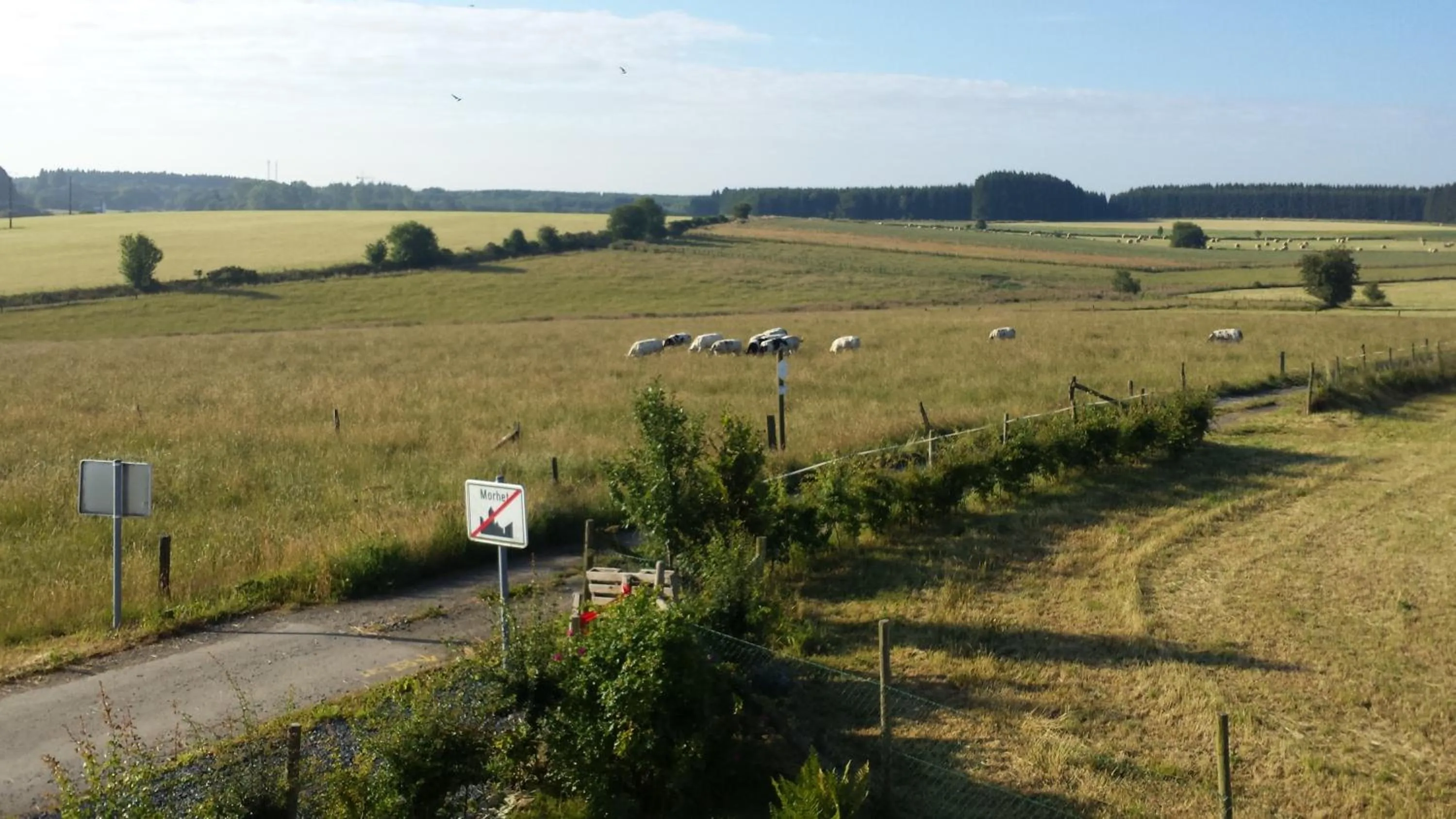 View (from property/room) in B&B La Chabetaine