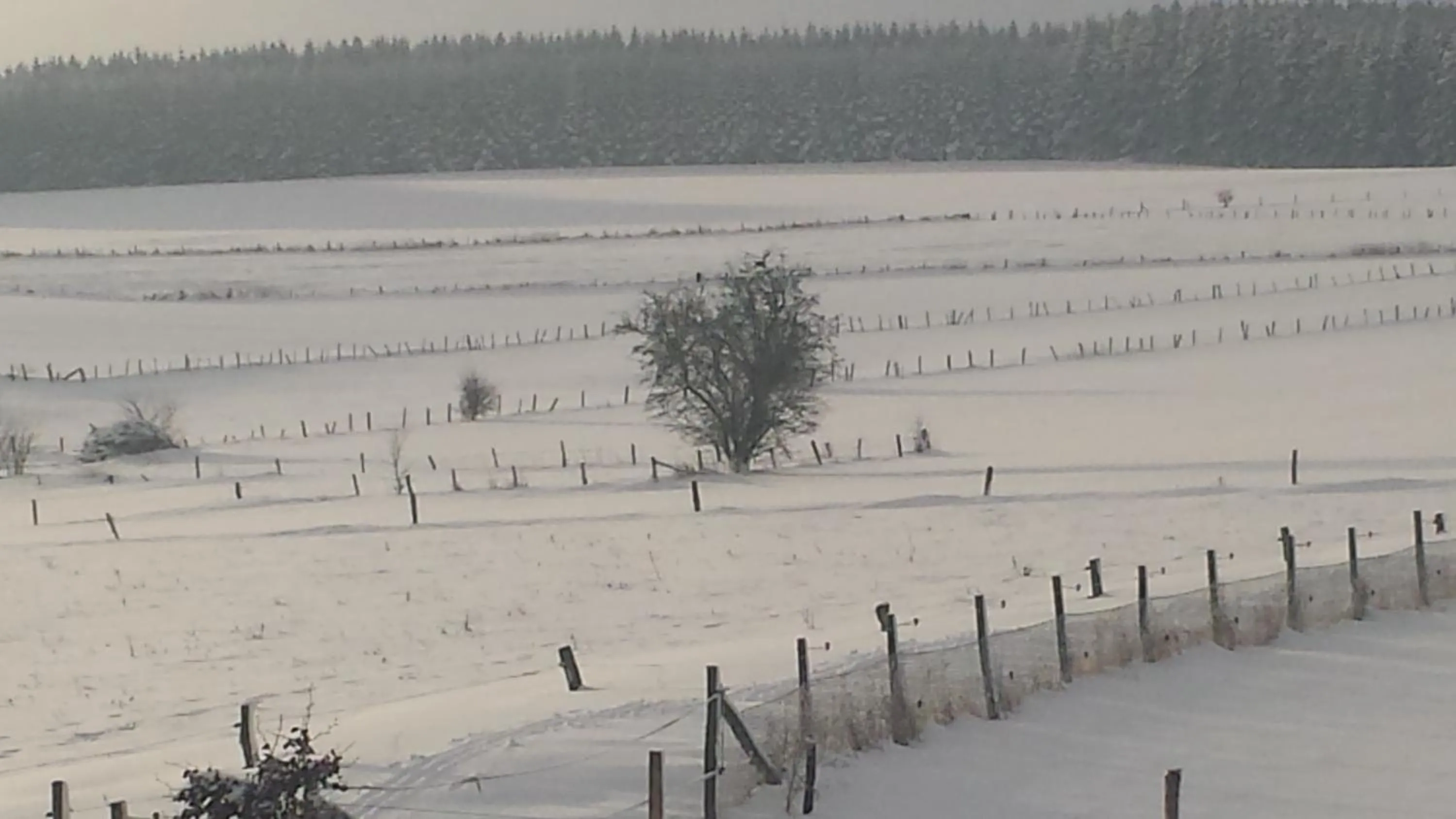 View (from property/room) in B&B La Chabetaine