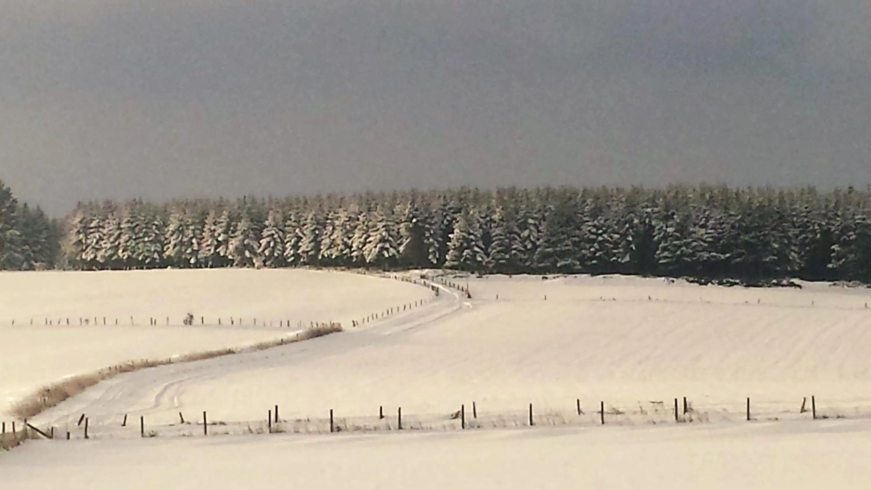 Winter in B&B La Chabetaine