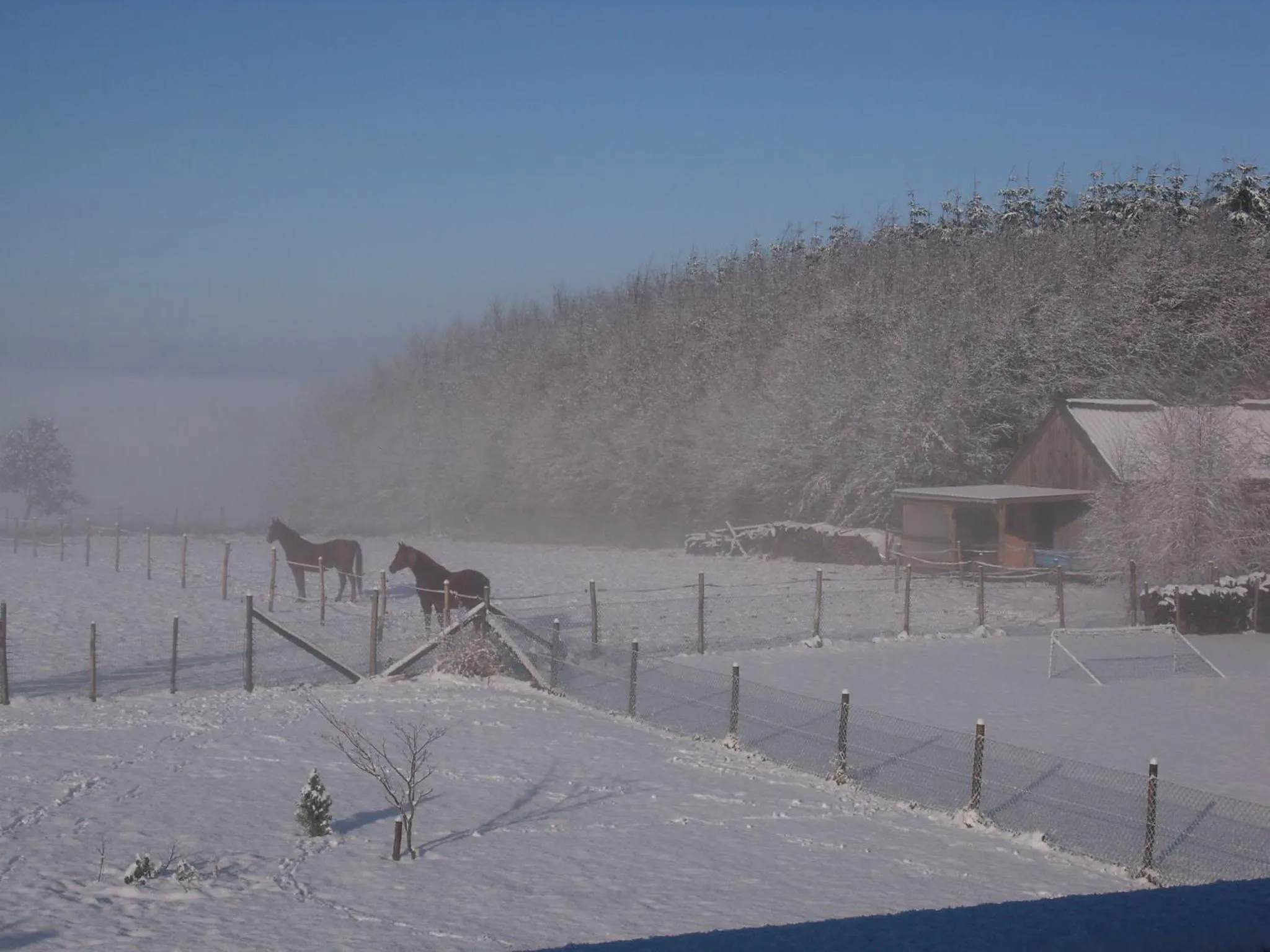View (from property/room) in B&B La Chabetaine
