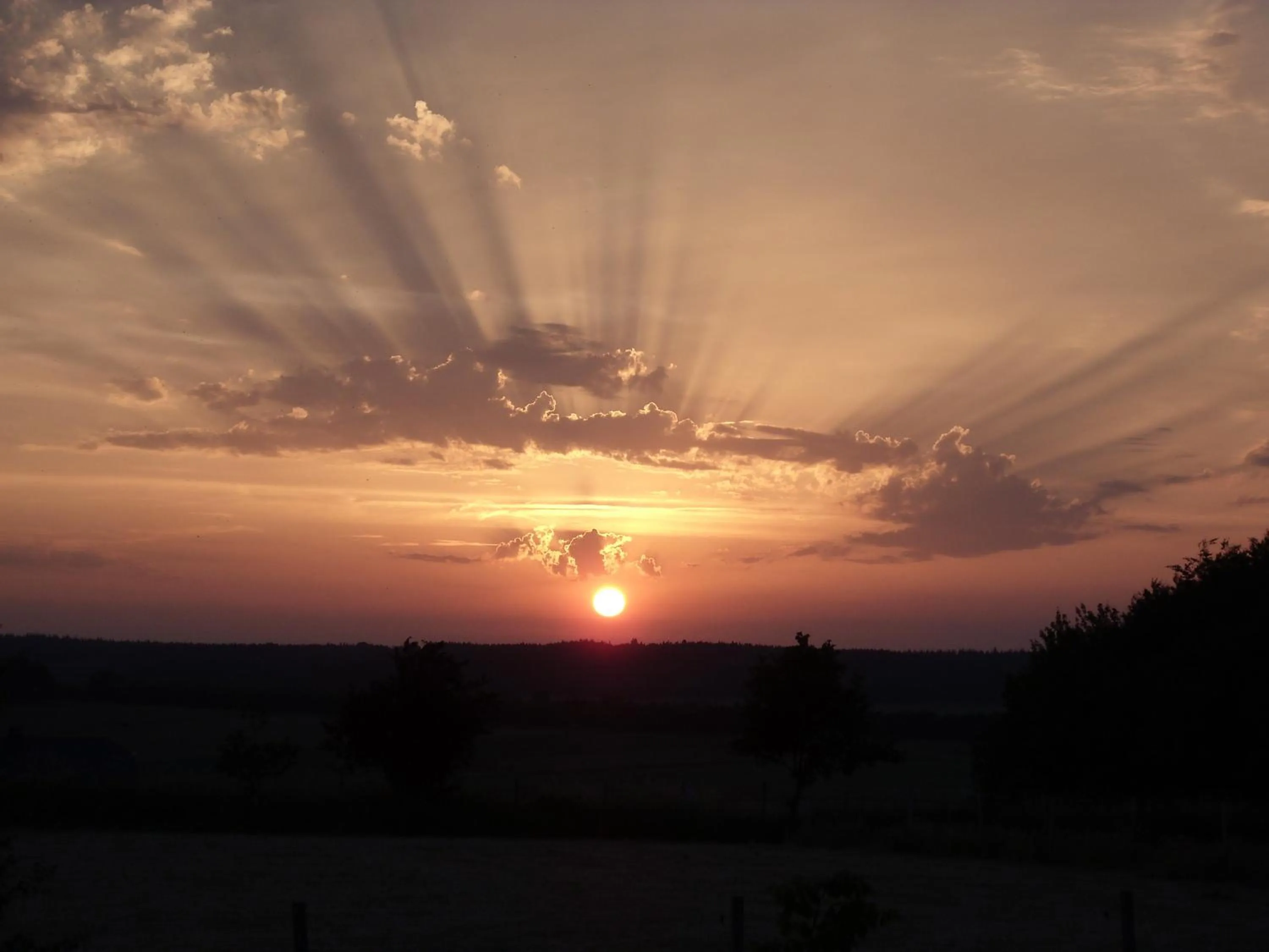 View (from property/room) in B&B La Chabetaine