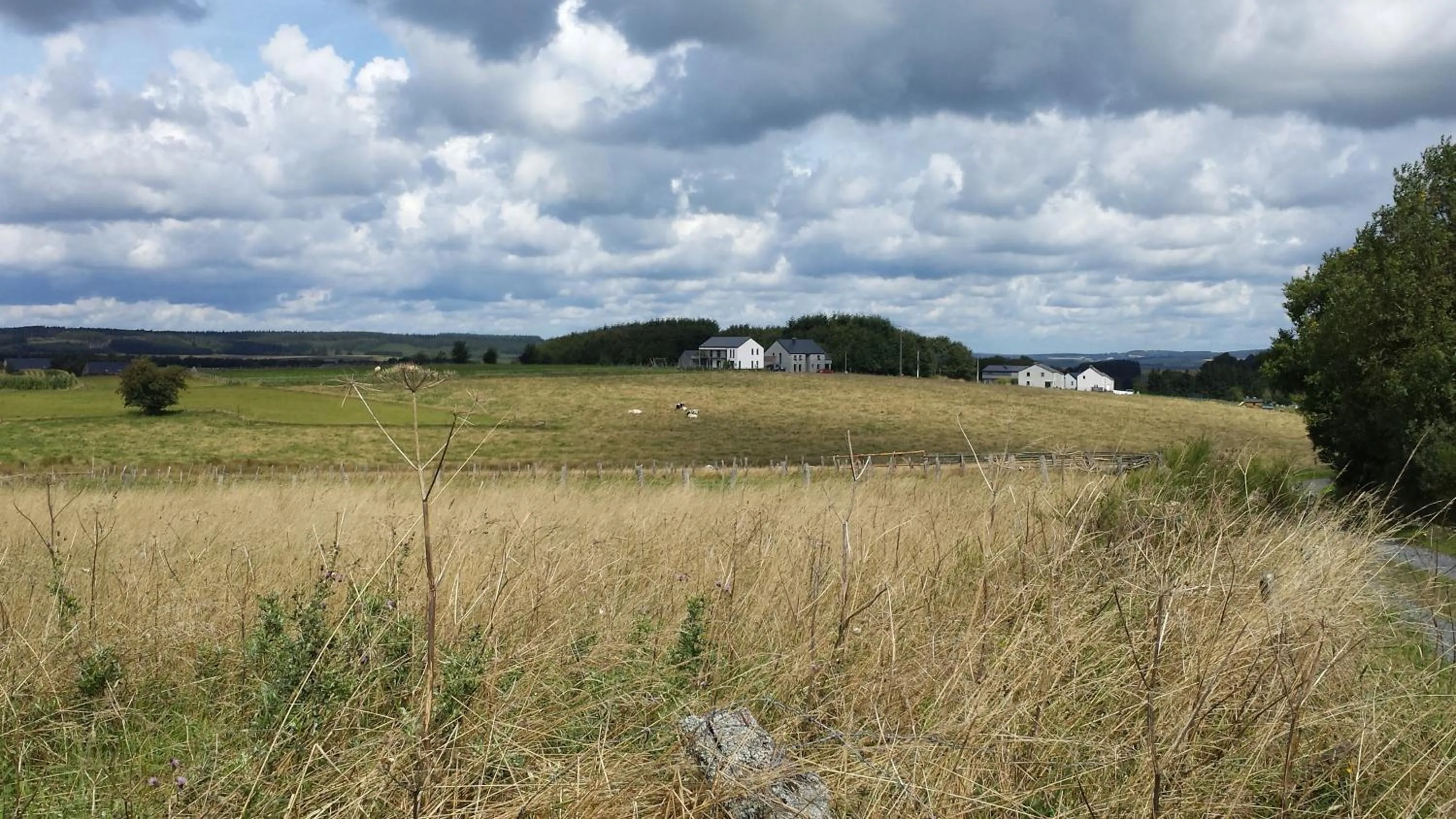 Area and facilities in B&B La Chabetaine