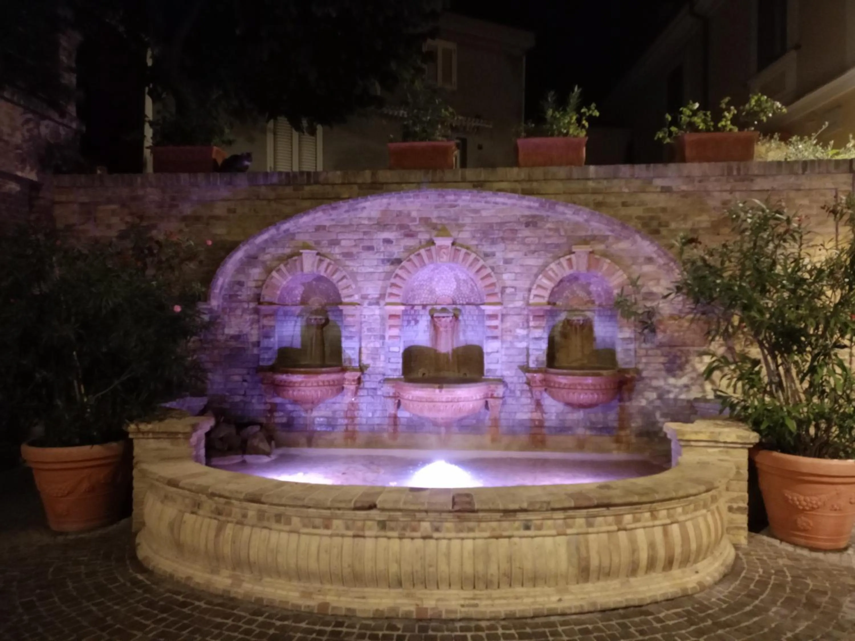 Natural landscape in Hotel Riviera