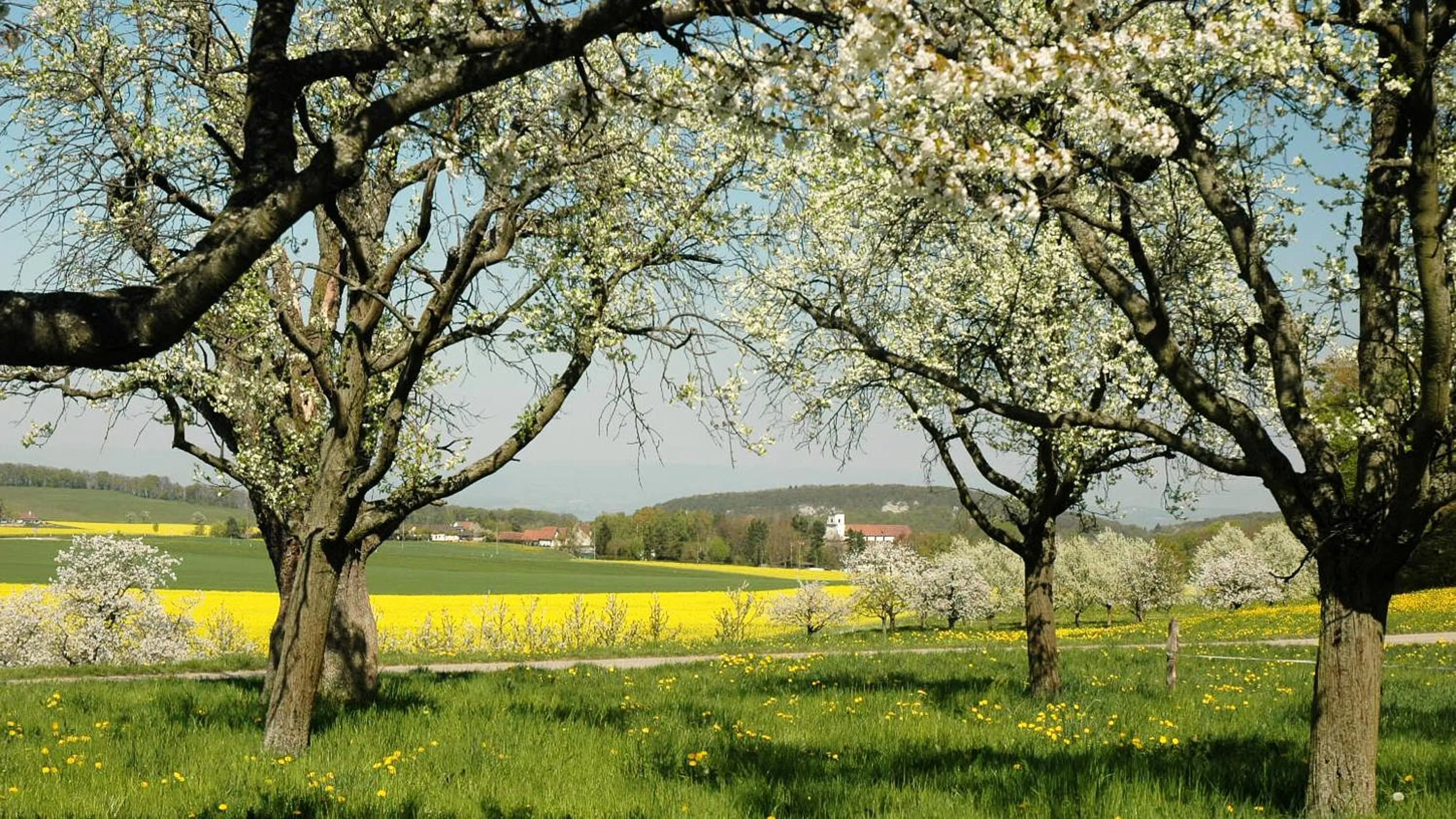 Natural landscape in Klosterhotel Kreuz