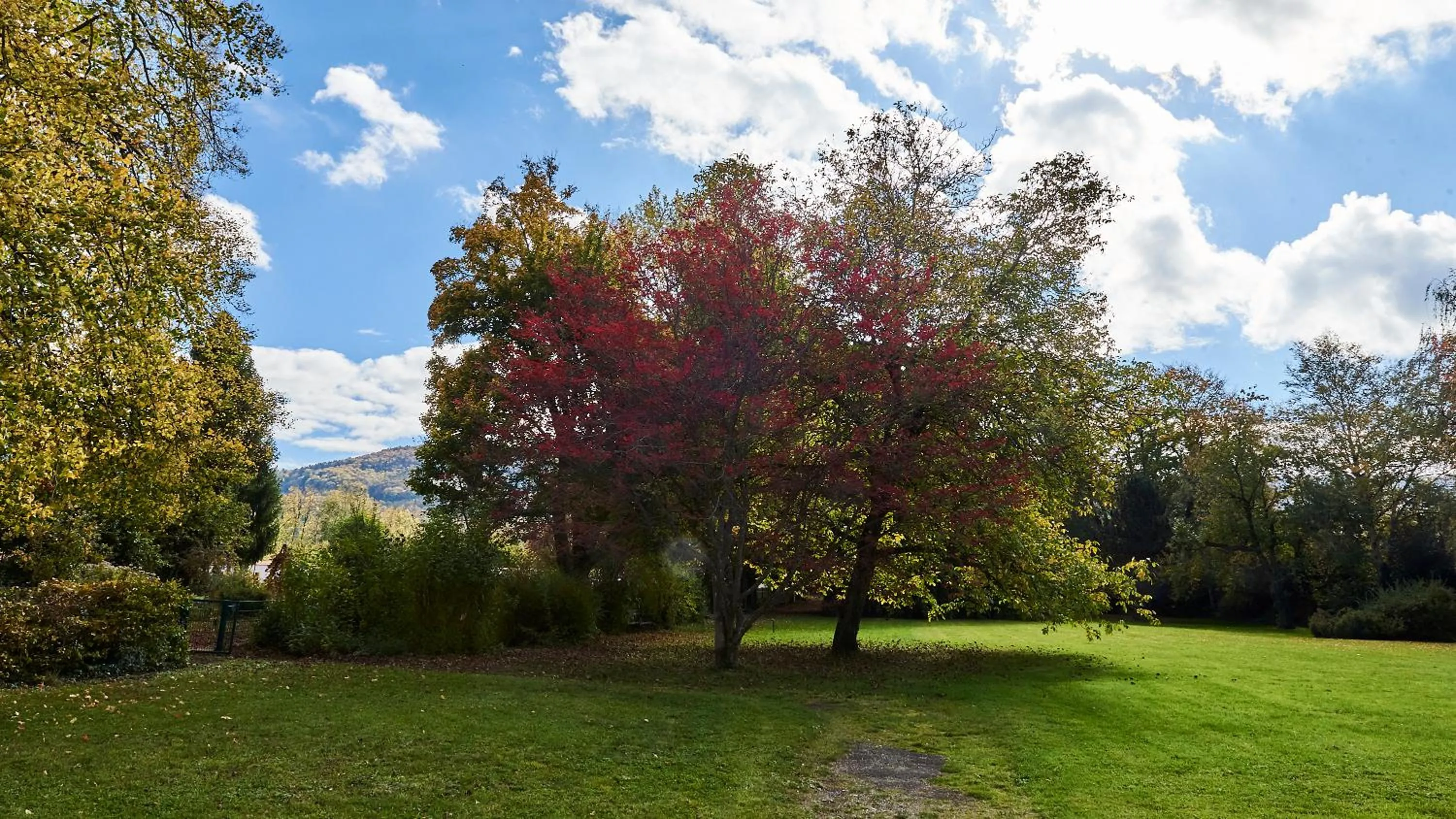 Garden view in Klosterhotel Kreuz
