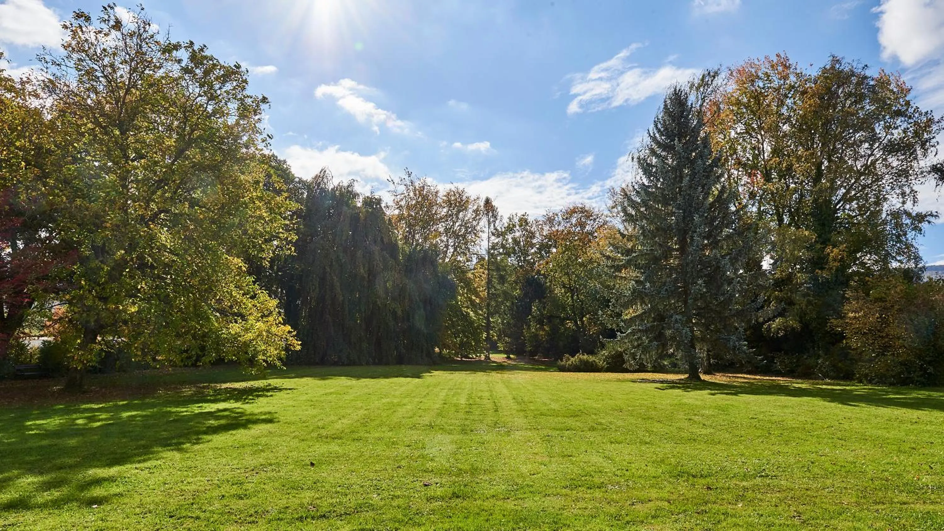 Garden view in Klosterhotel Kreuz