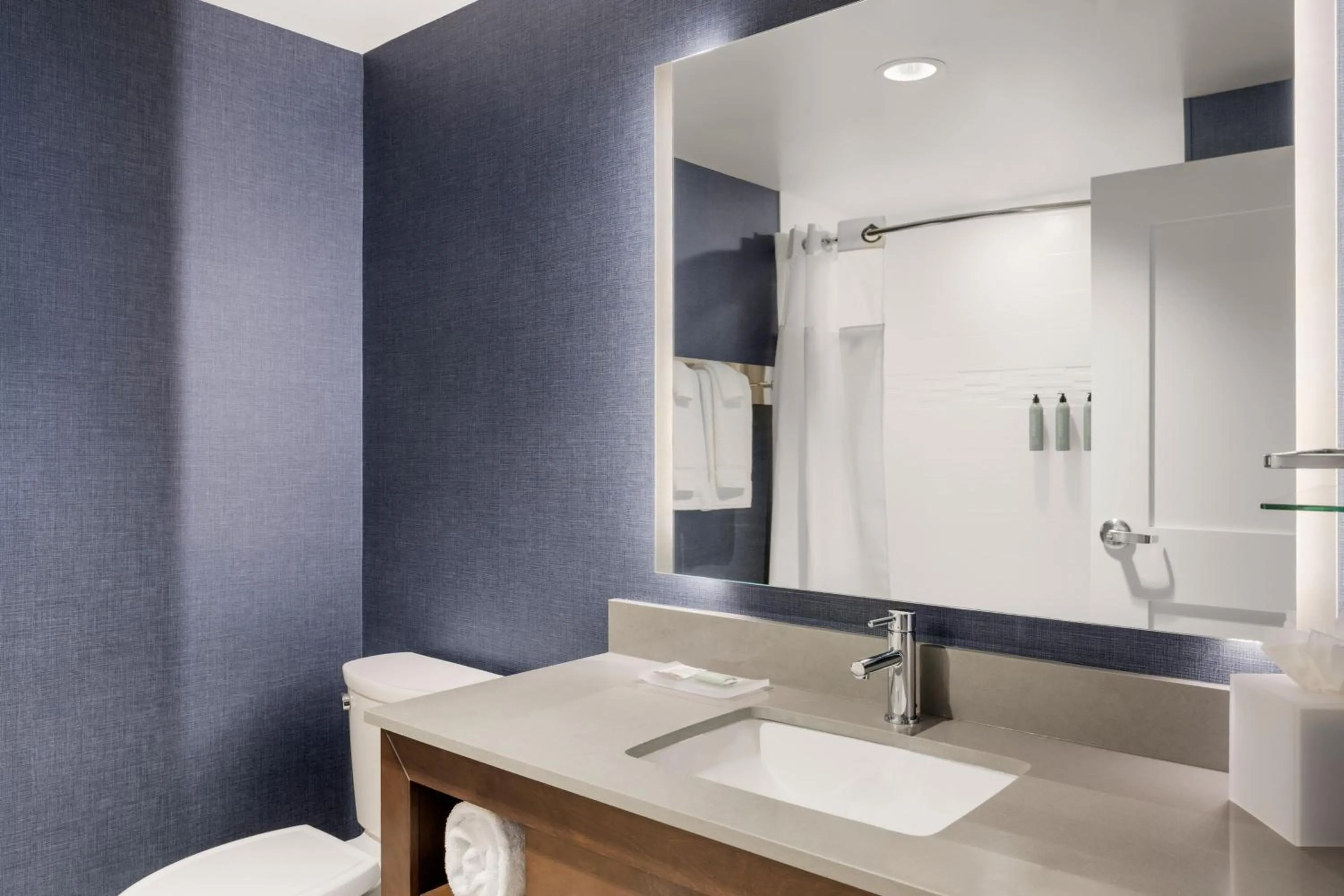 Bathroom in Residence Inn by Marriott Milwaukee Brookfield at Poplar Creek