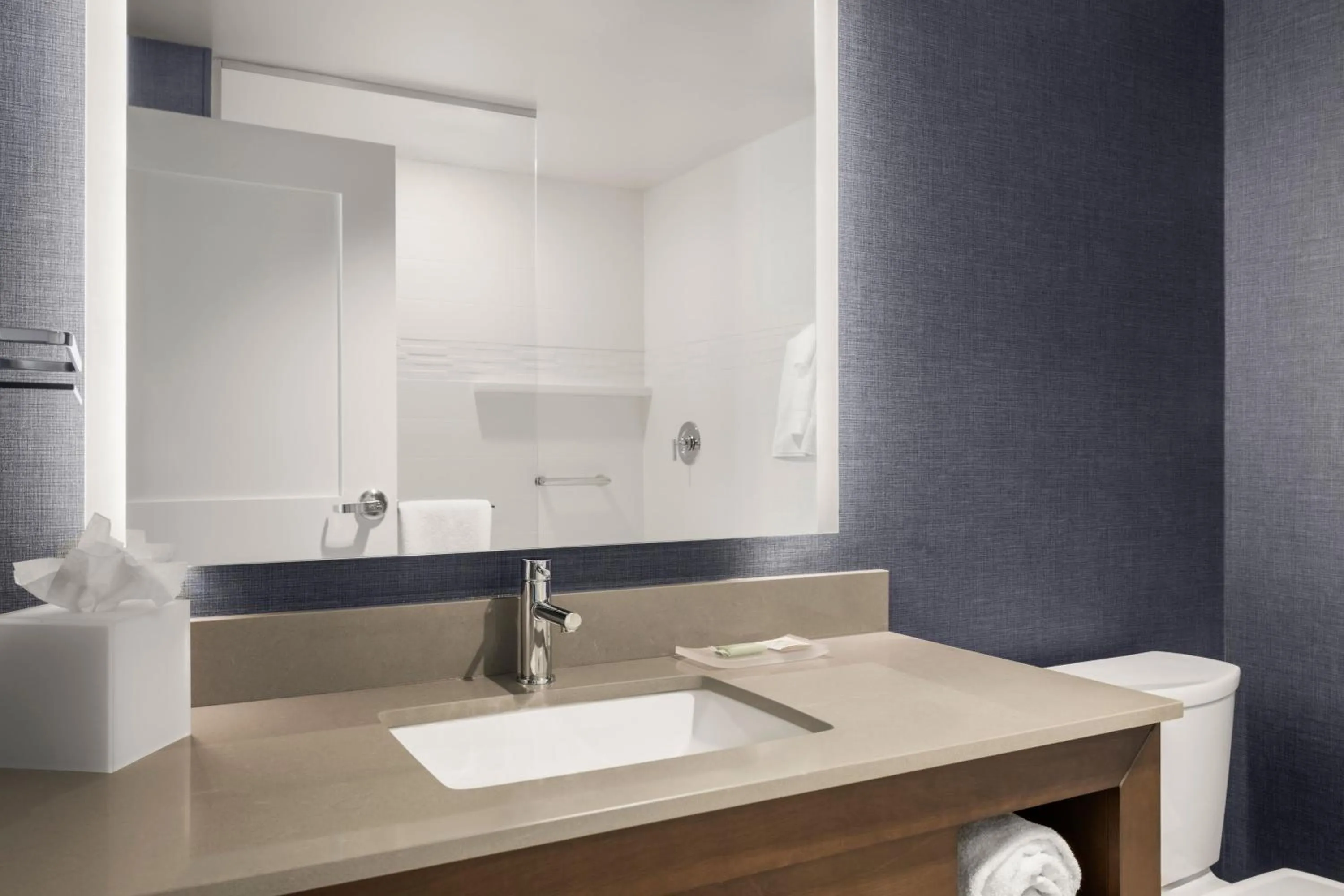 Bathroom in Residence Inn by Marriott Milwaukee Brookfield at Poplar Creek