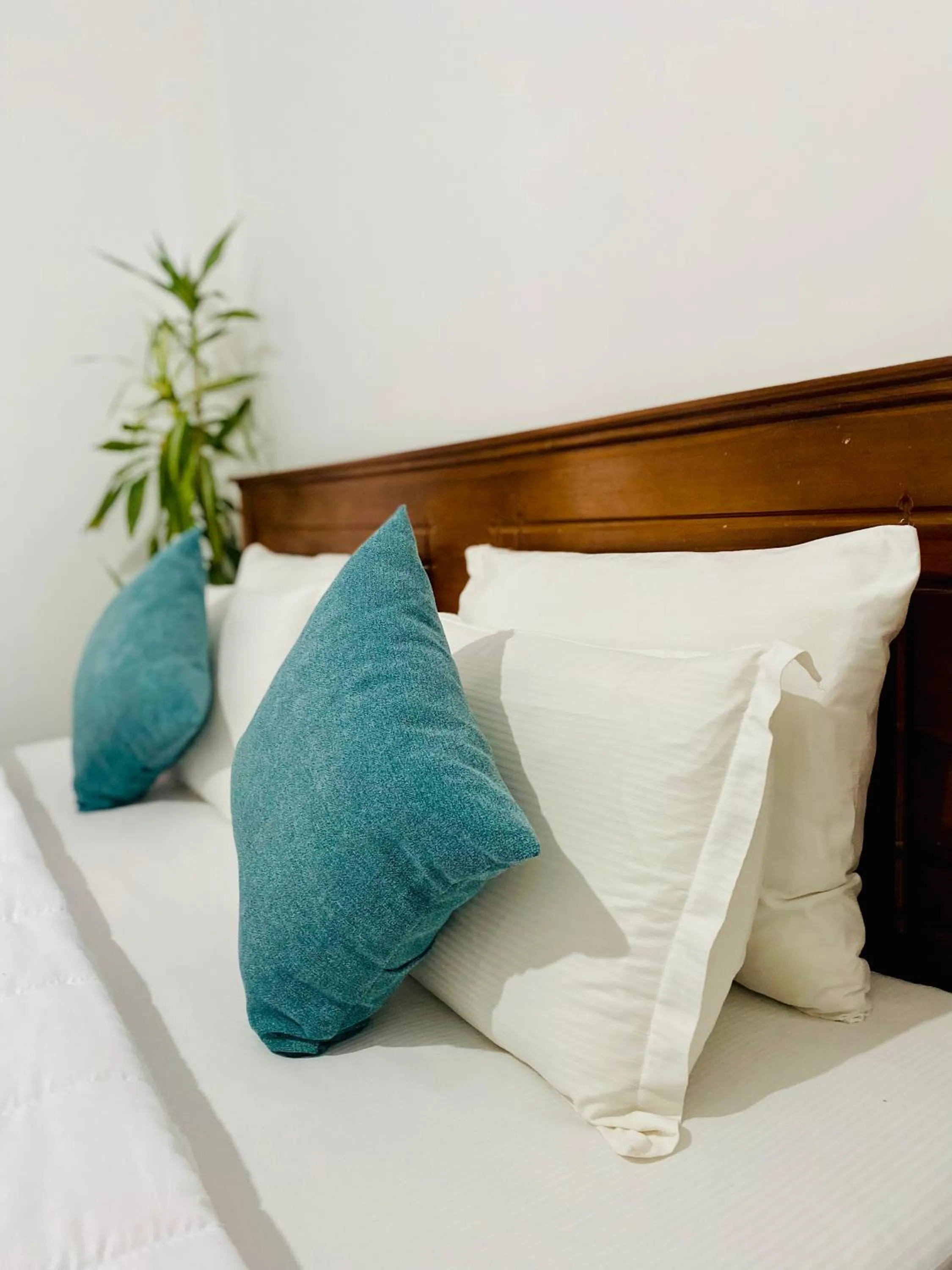 Bed in Highest Village Bungalow