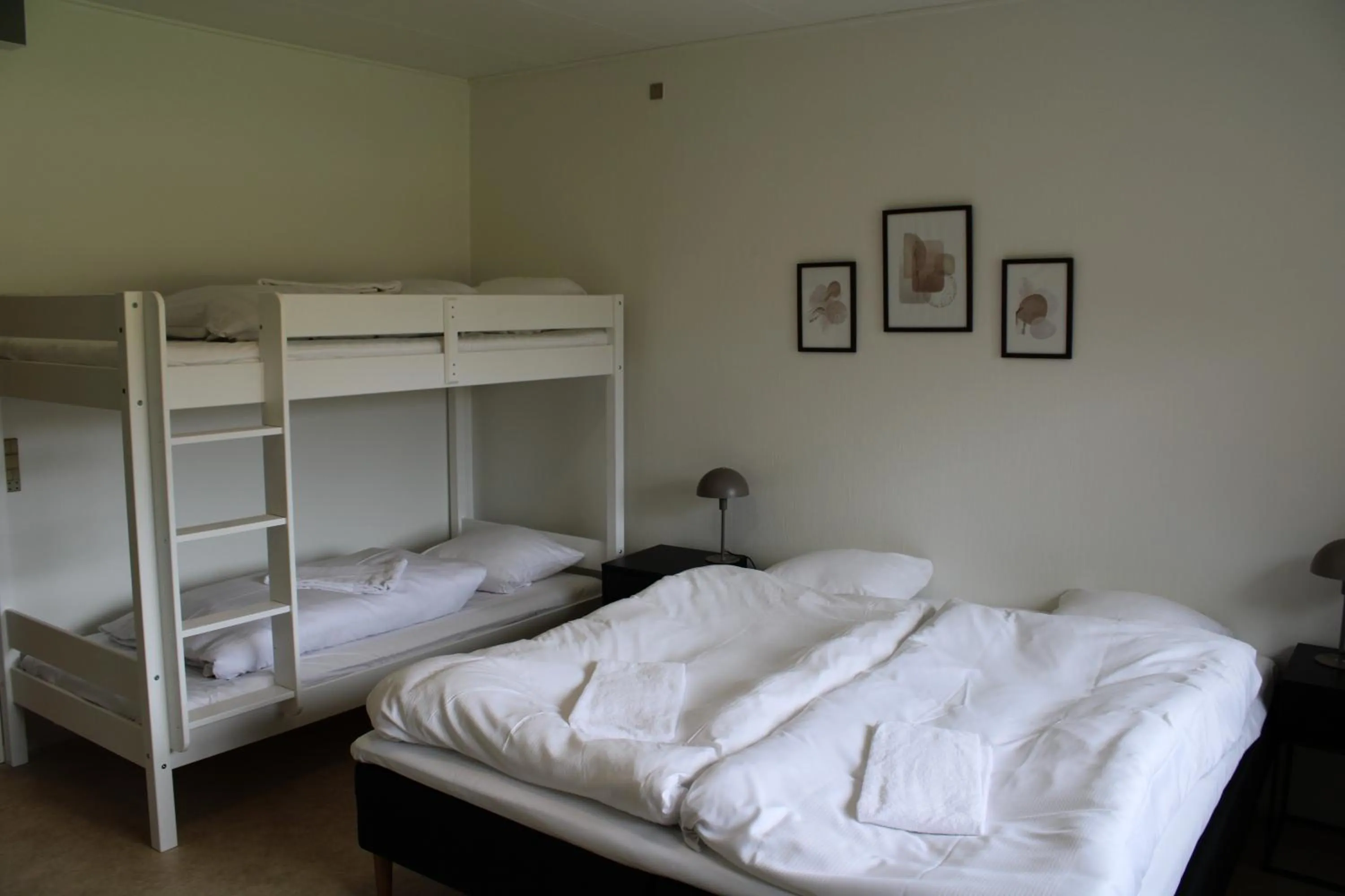 bunk bed, Bed in Hotel Traneparken